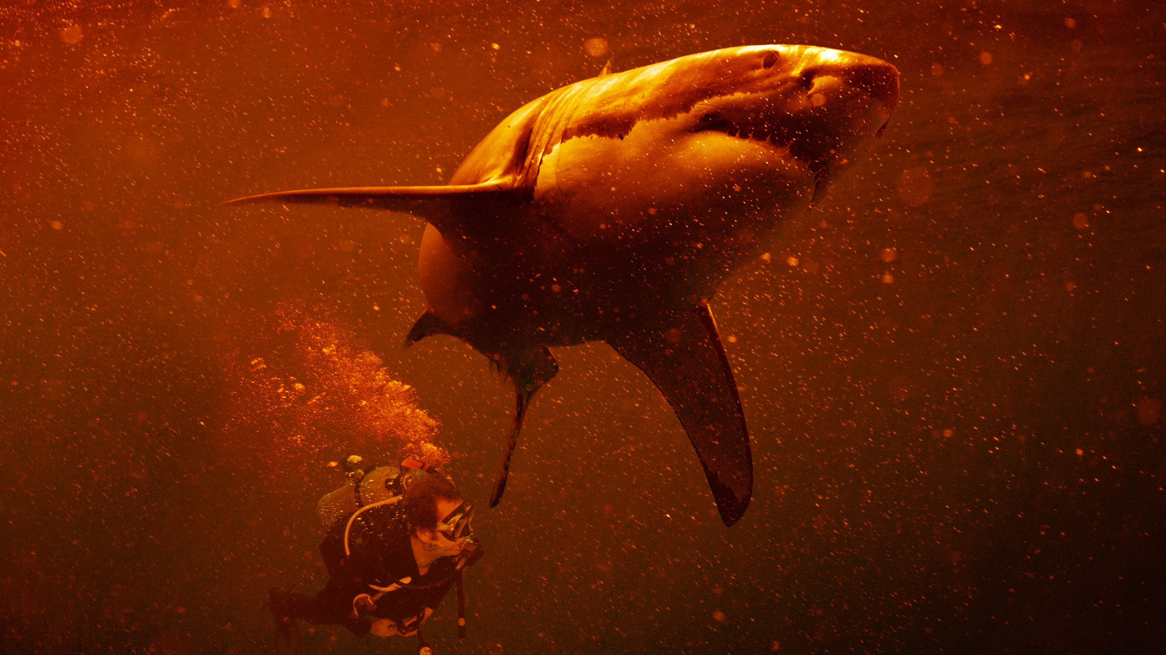 Sharkcano: Hawaii's poster