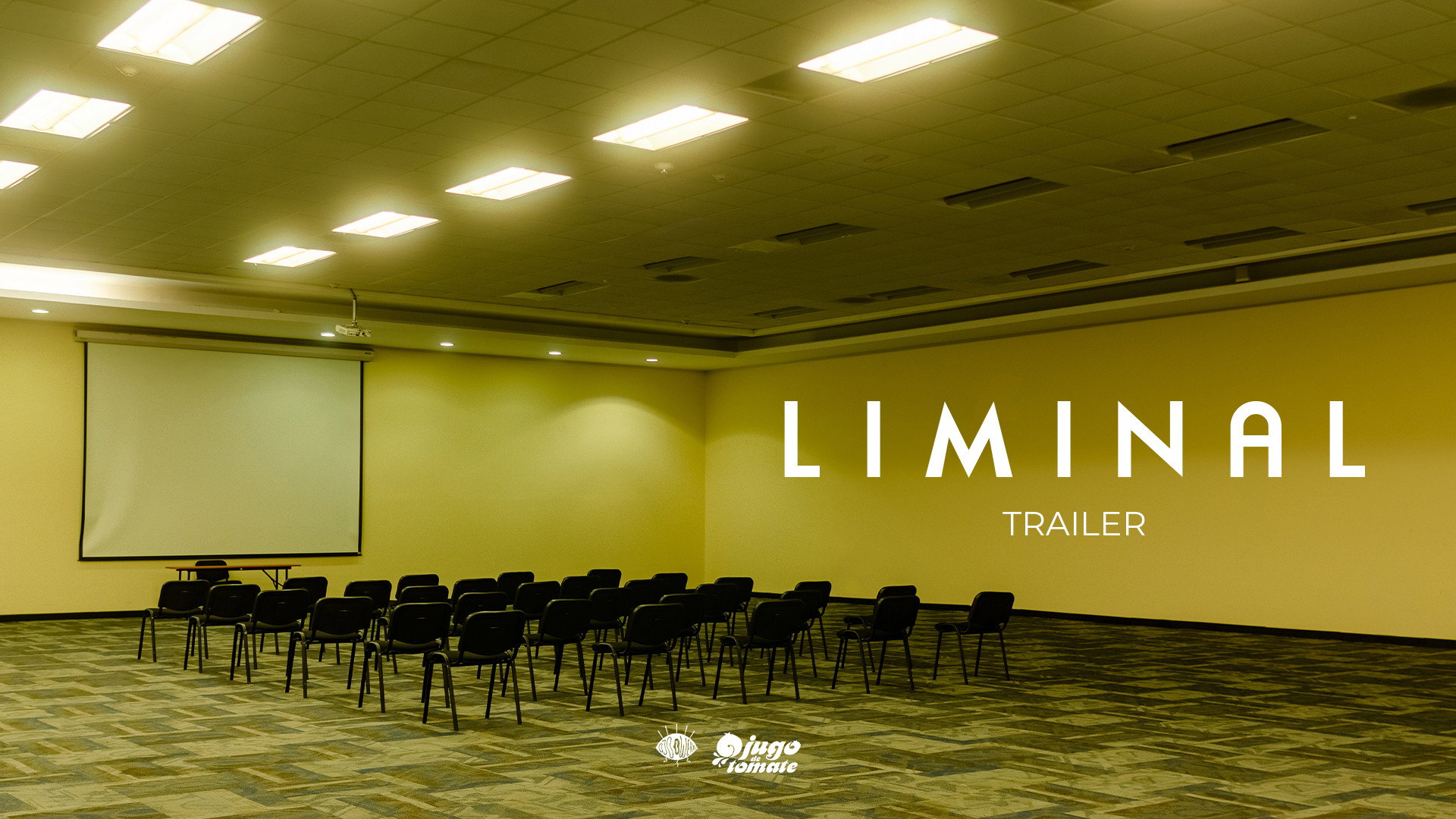 LIMINAL's poster