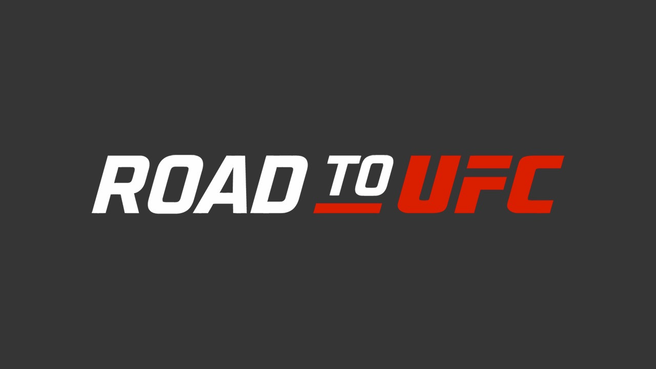 Road to UFC's poster