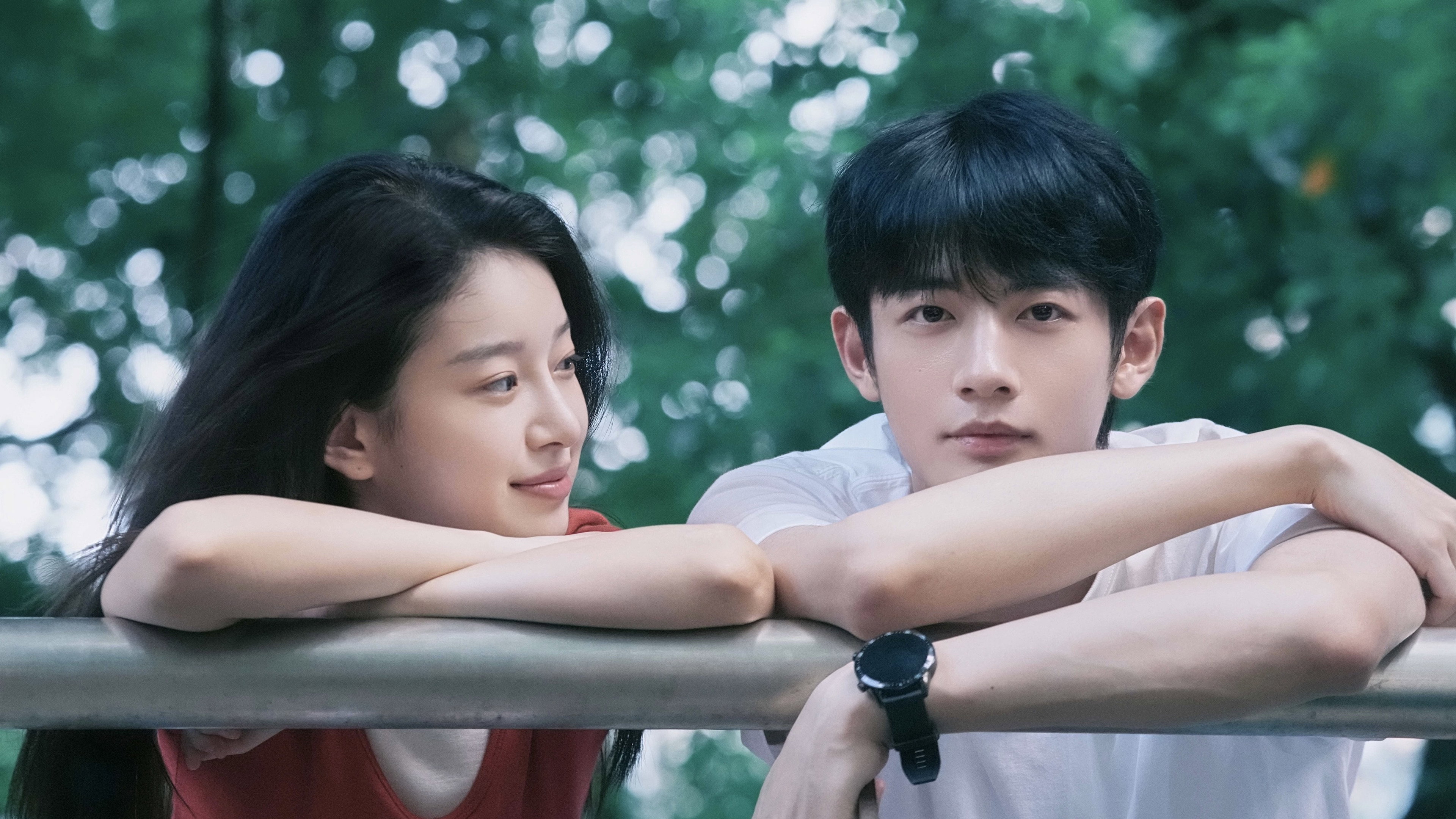 Hidden Love's poster