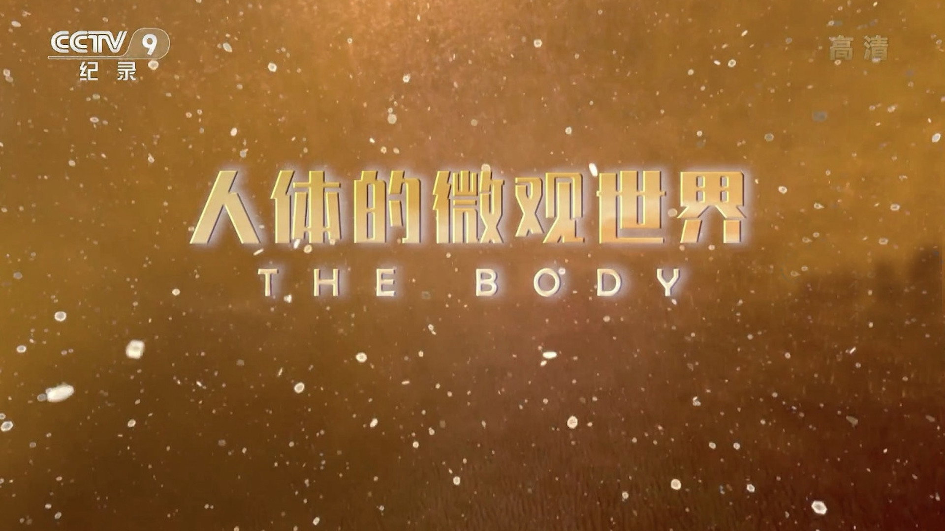 人体的微观世界's poster