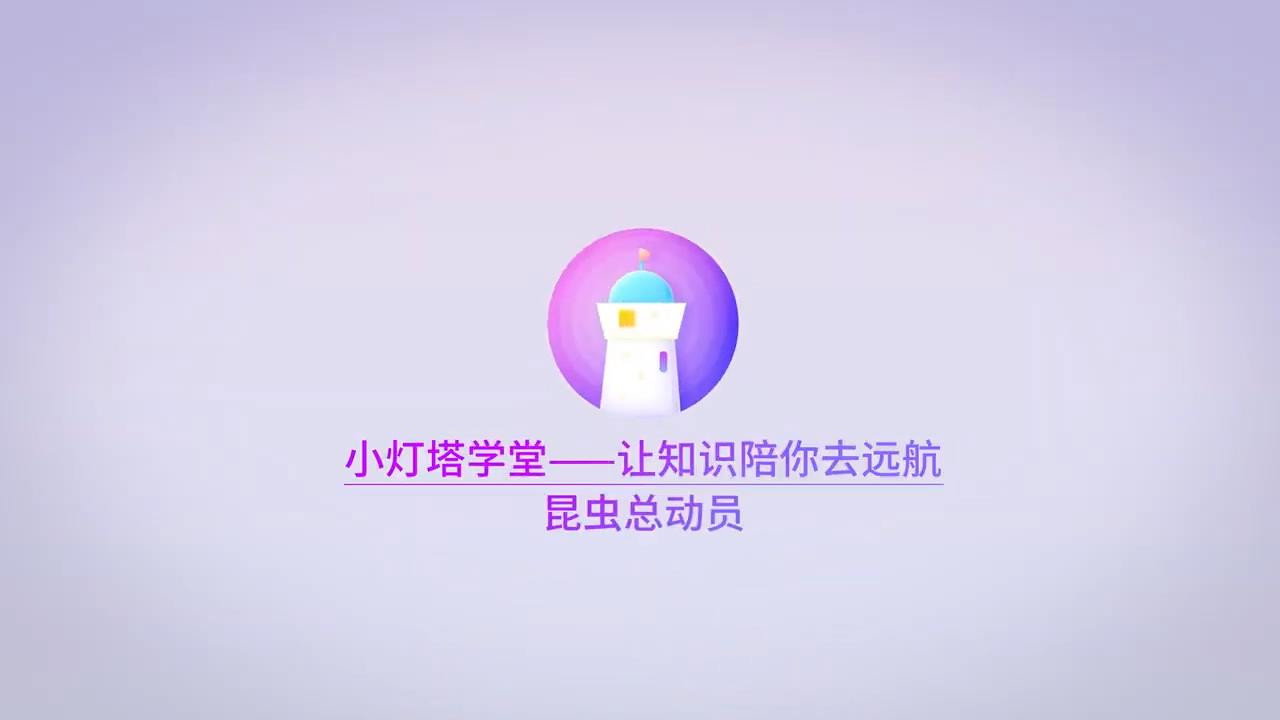 昆虫世界儿童动画's poster