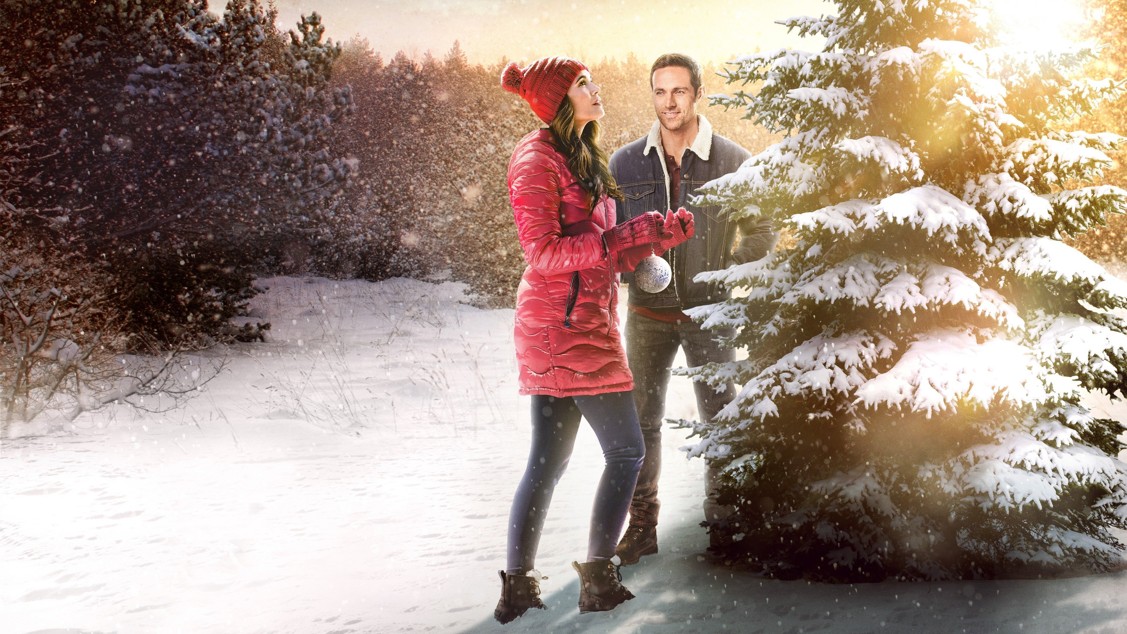 The Christmas Promise's poster