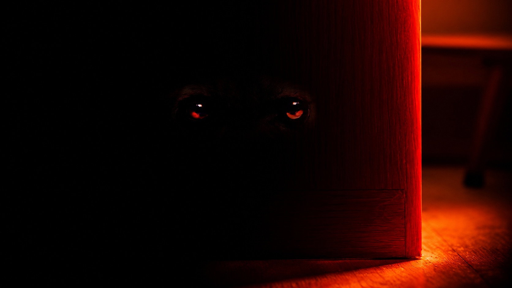 Hyena's poster