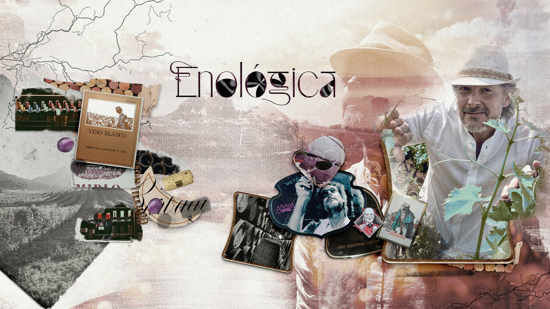 Enológica's poster