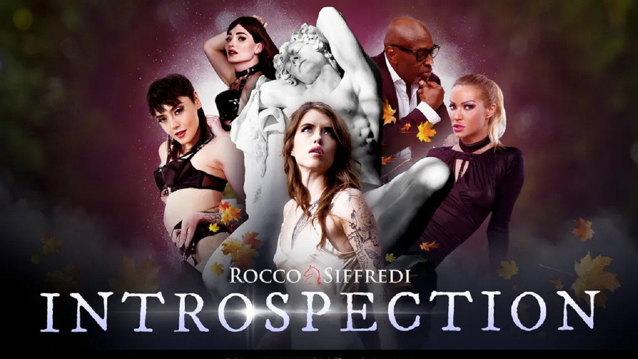 Introspection's poster