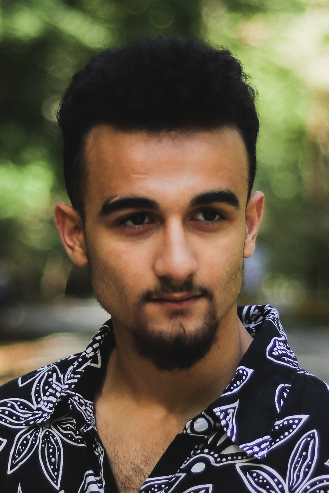 Ali Momeni's poster