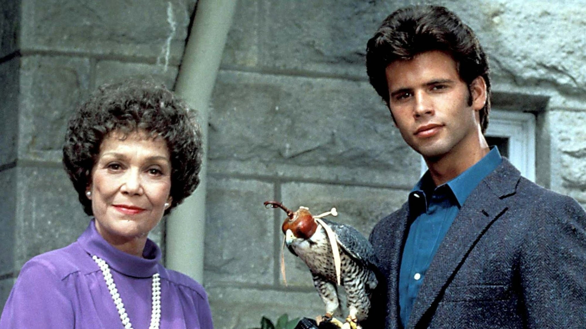 Falcon Crest's poster