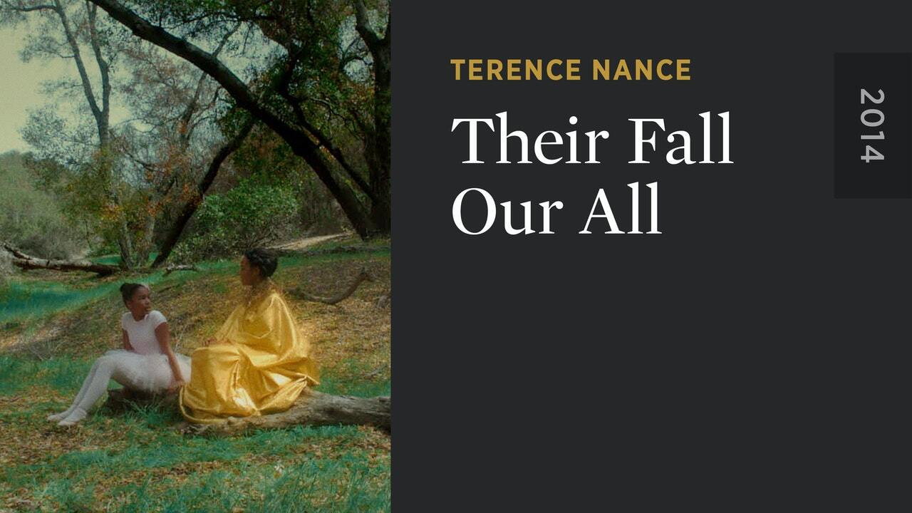 Beyoncé - Their Fall Our All's poster