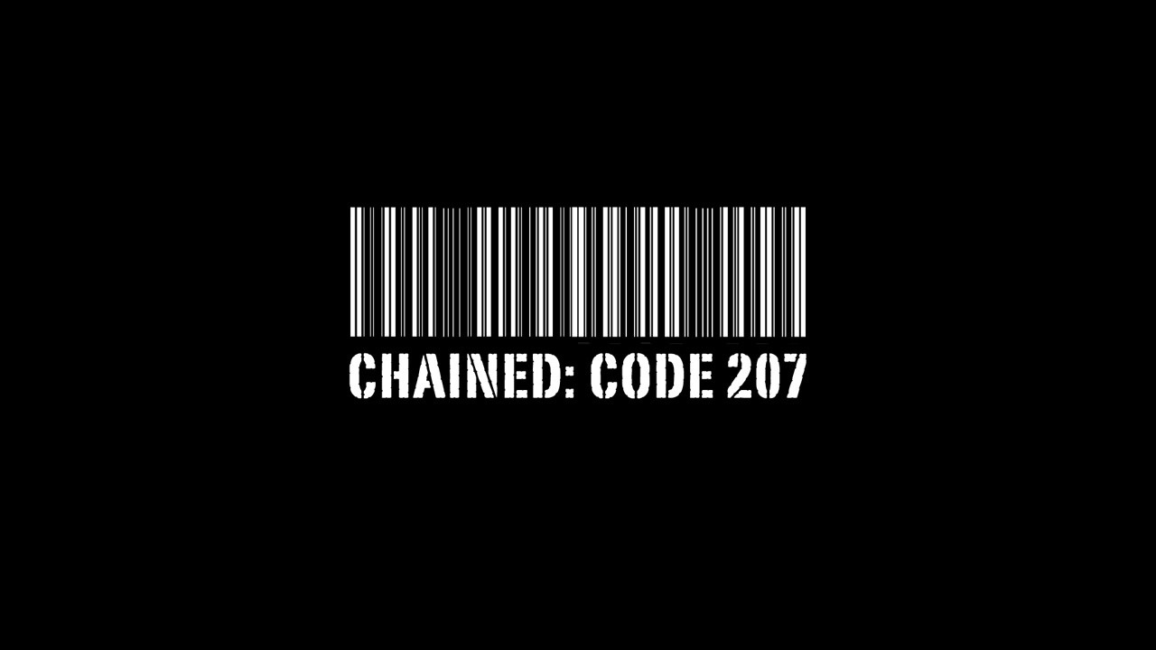 Code 207's poster