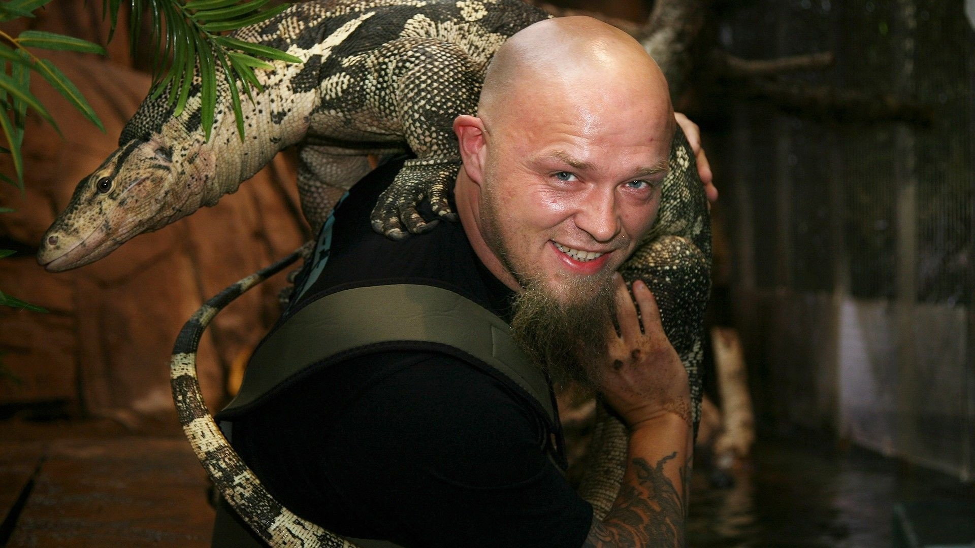 Akvariet's poster