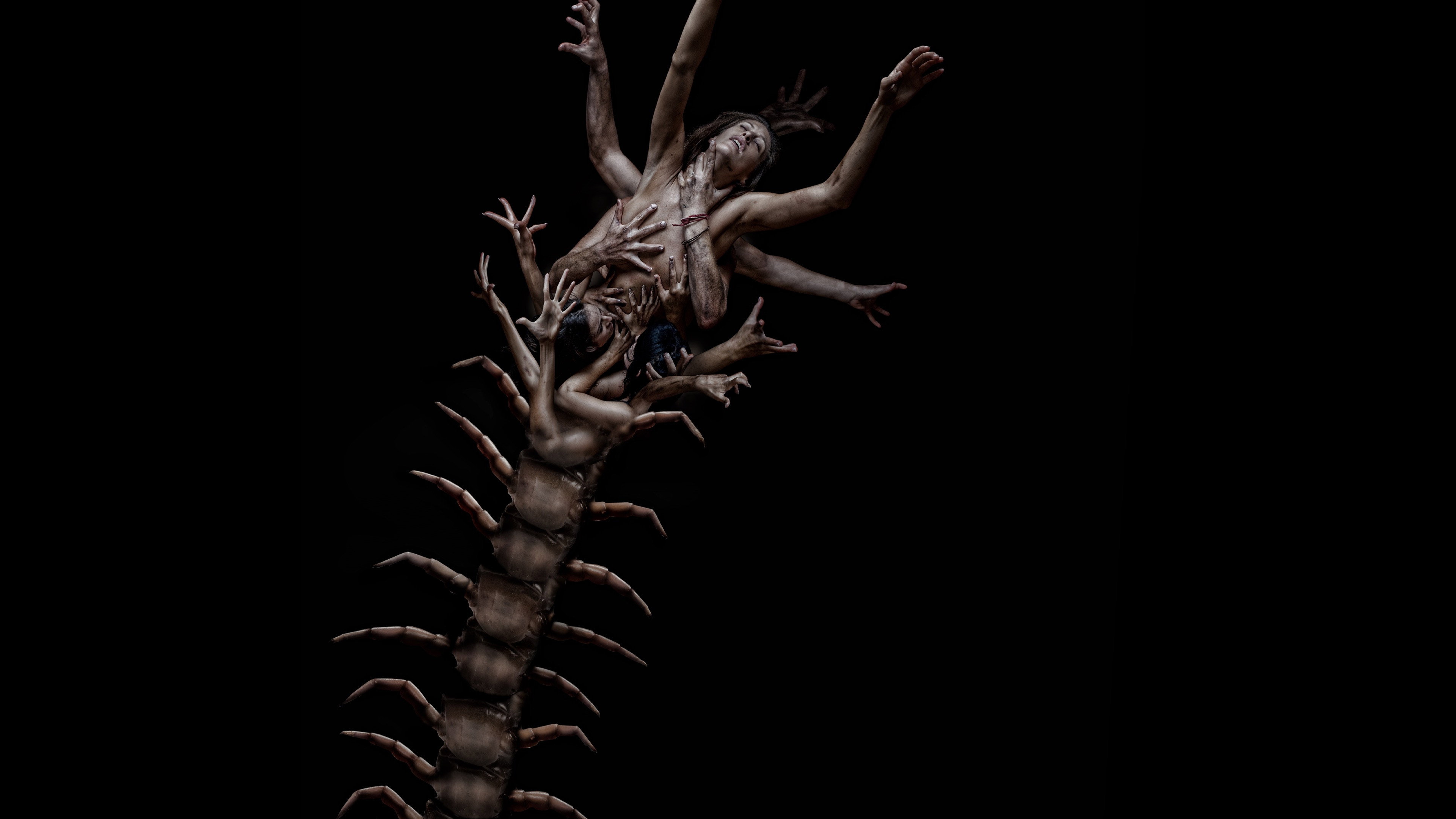The Human Centipede 2 (Full Sequence)'s poster