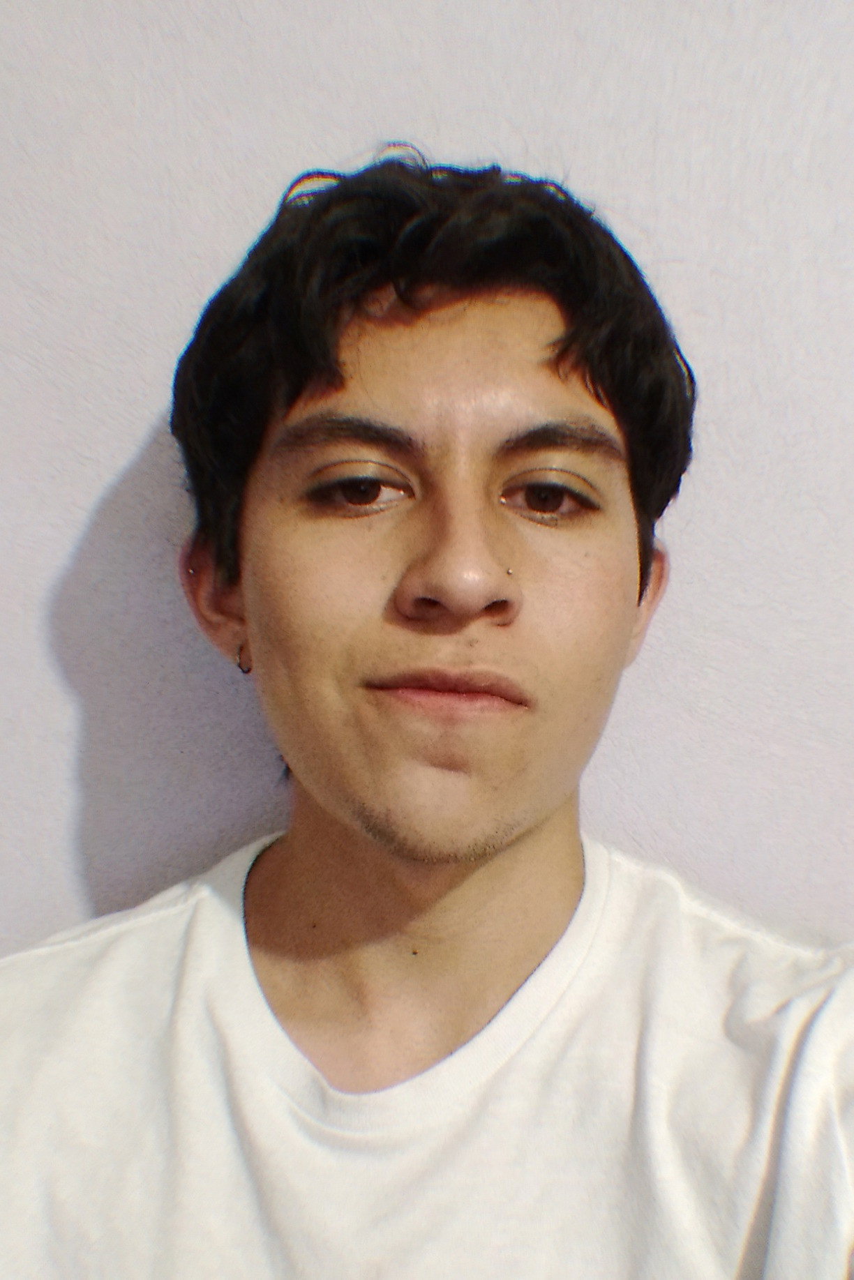 Garibay A.'s poster