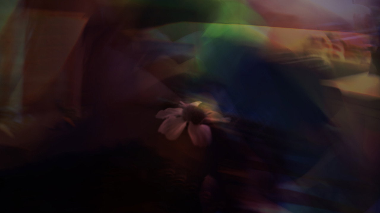Anatta's poster