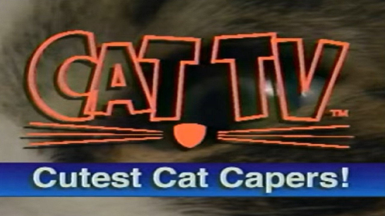 Cutest Cat Capers's poster