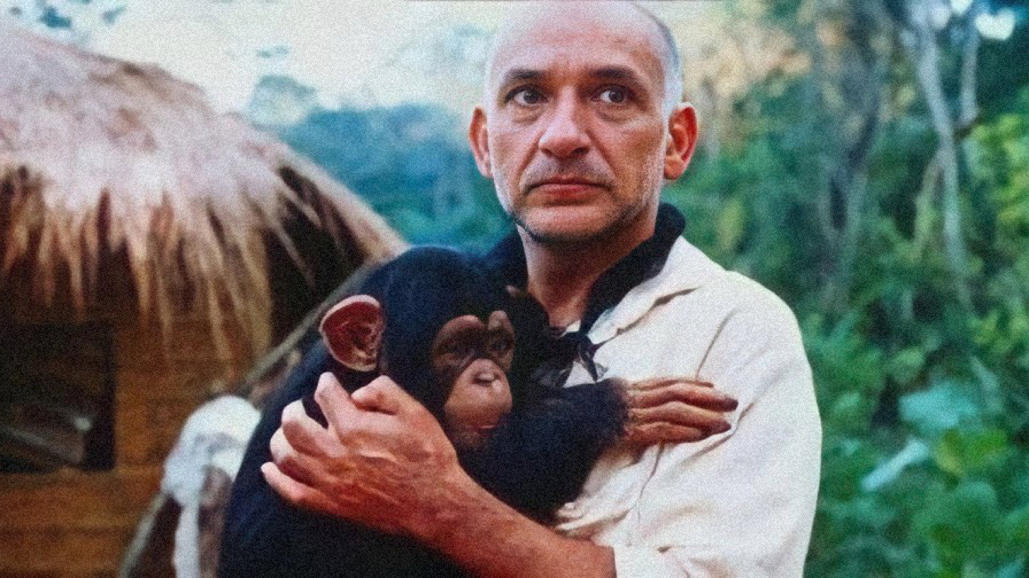 The Fifth Monkey's poster