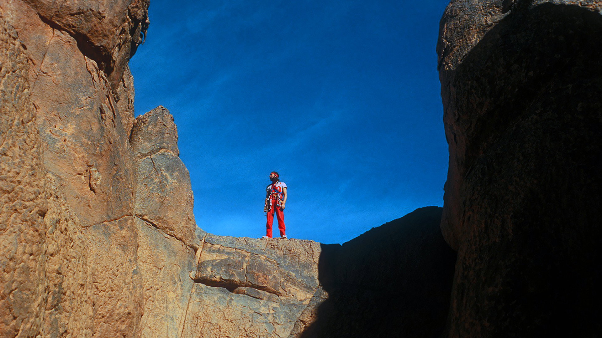 Sahara Vertical's poster