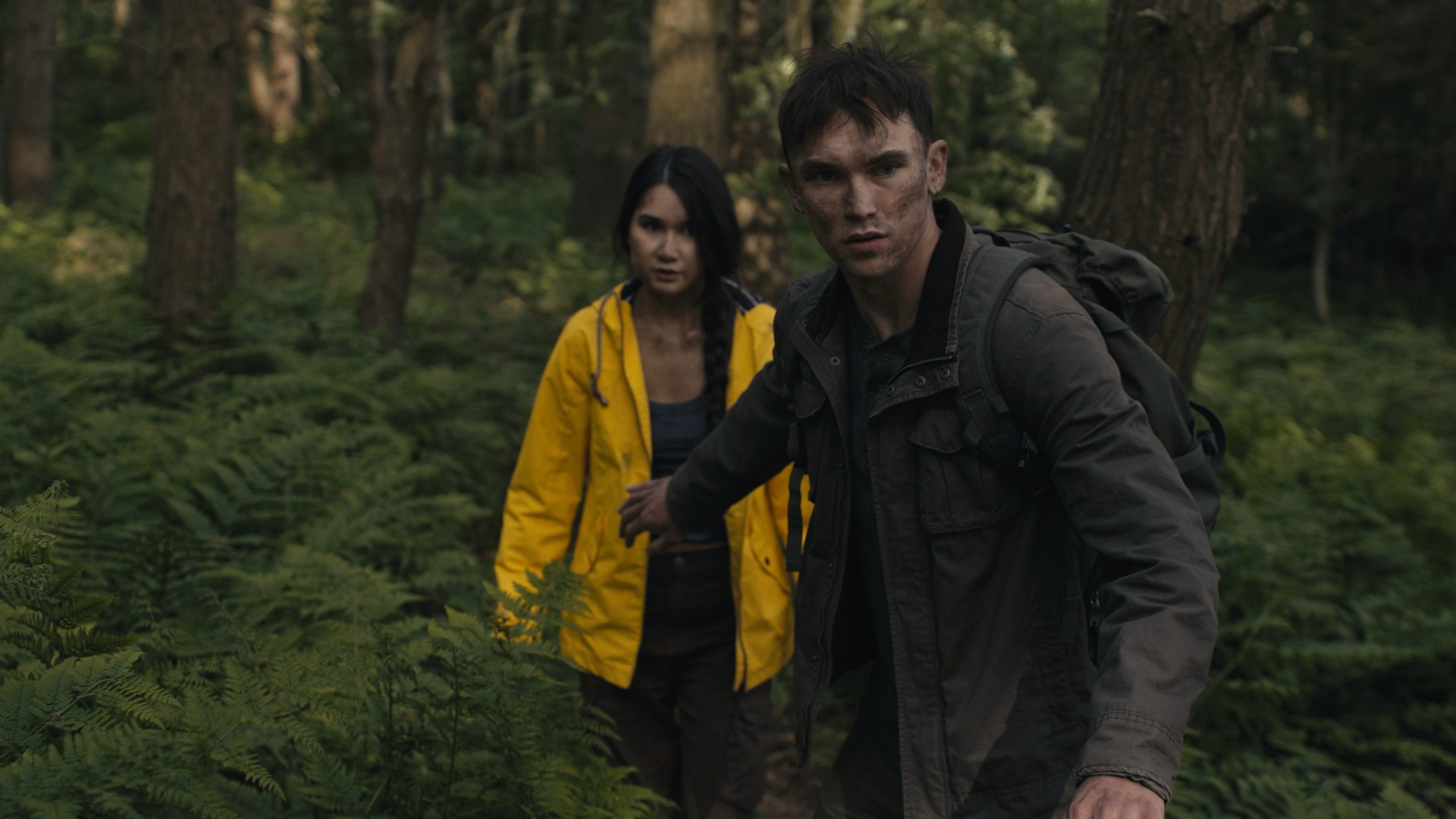 Among Wolves's poster