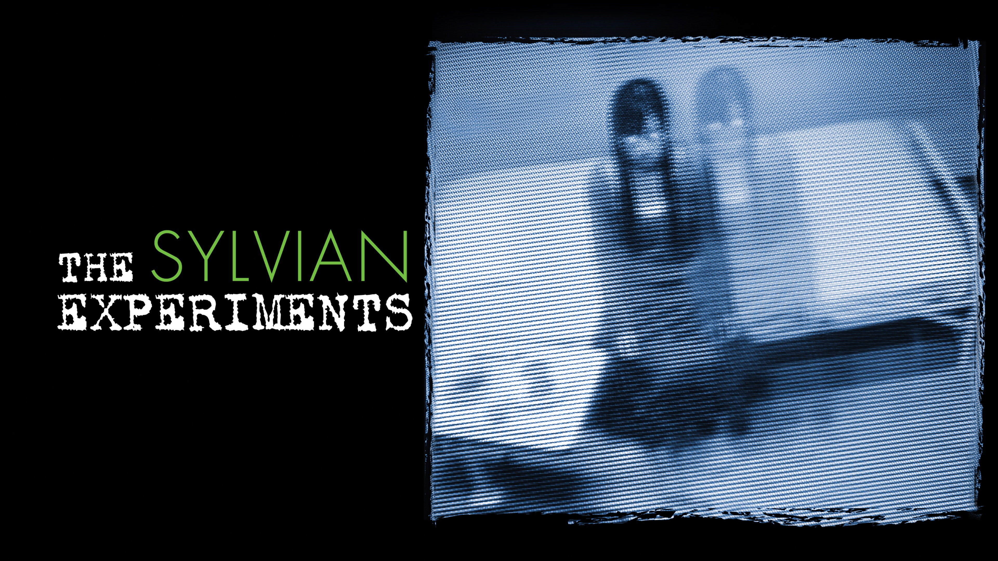 The Sylvian Experiments's poster