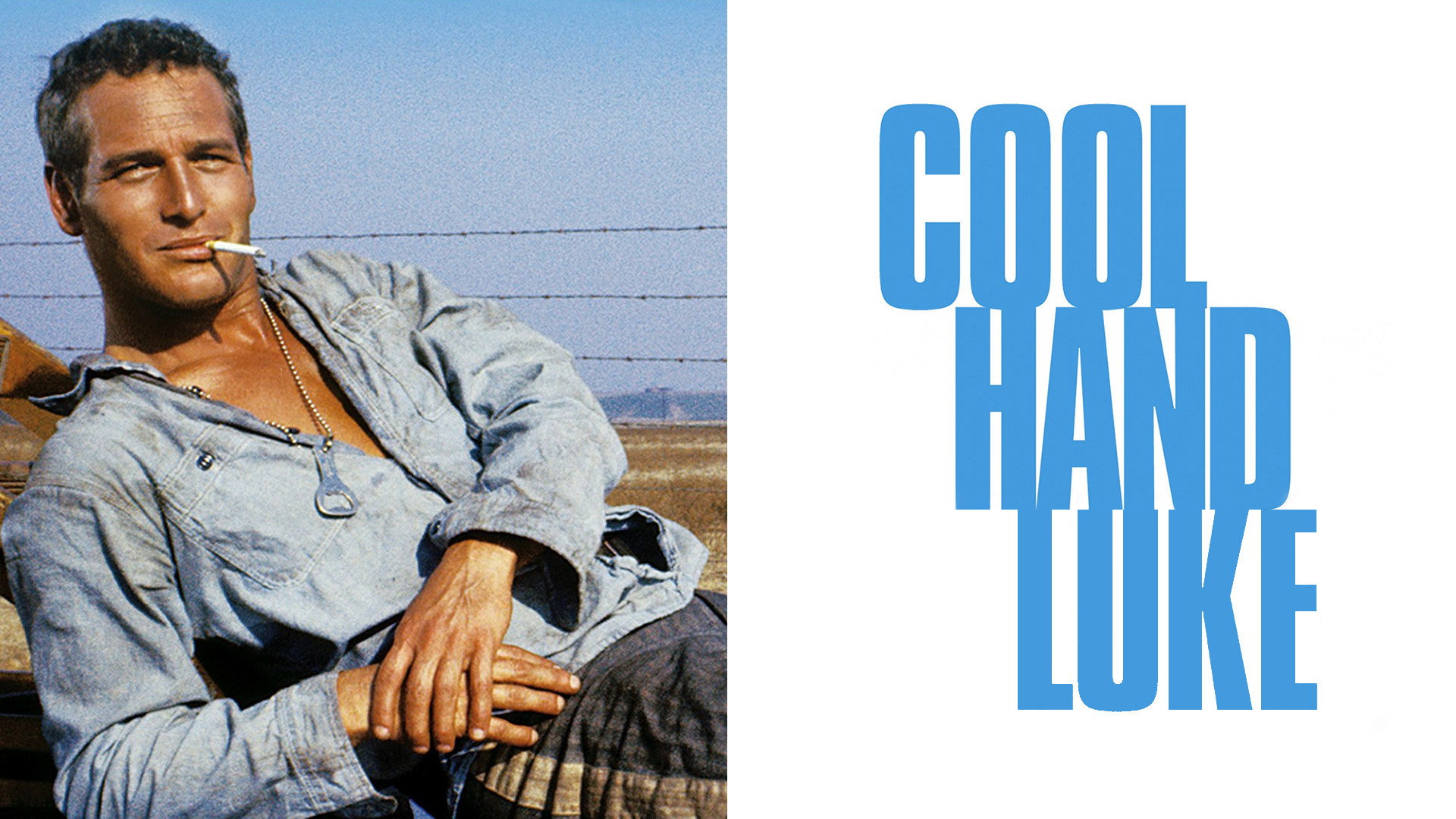 Cool Hand Luke's poster
