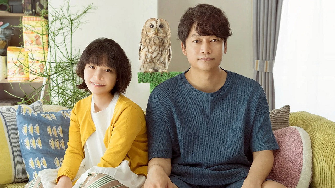 Everything Will Be Owlright!'s poster