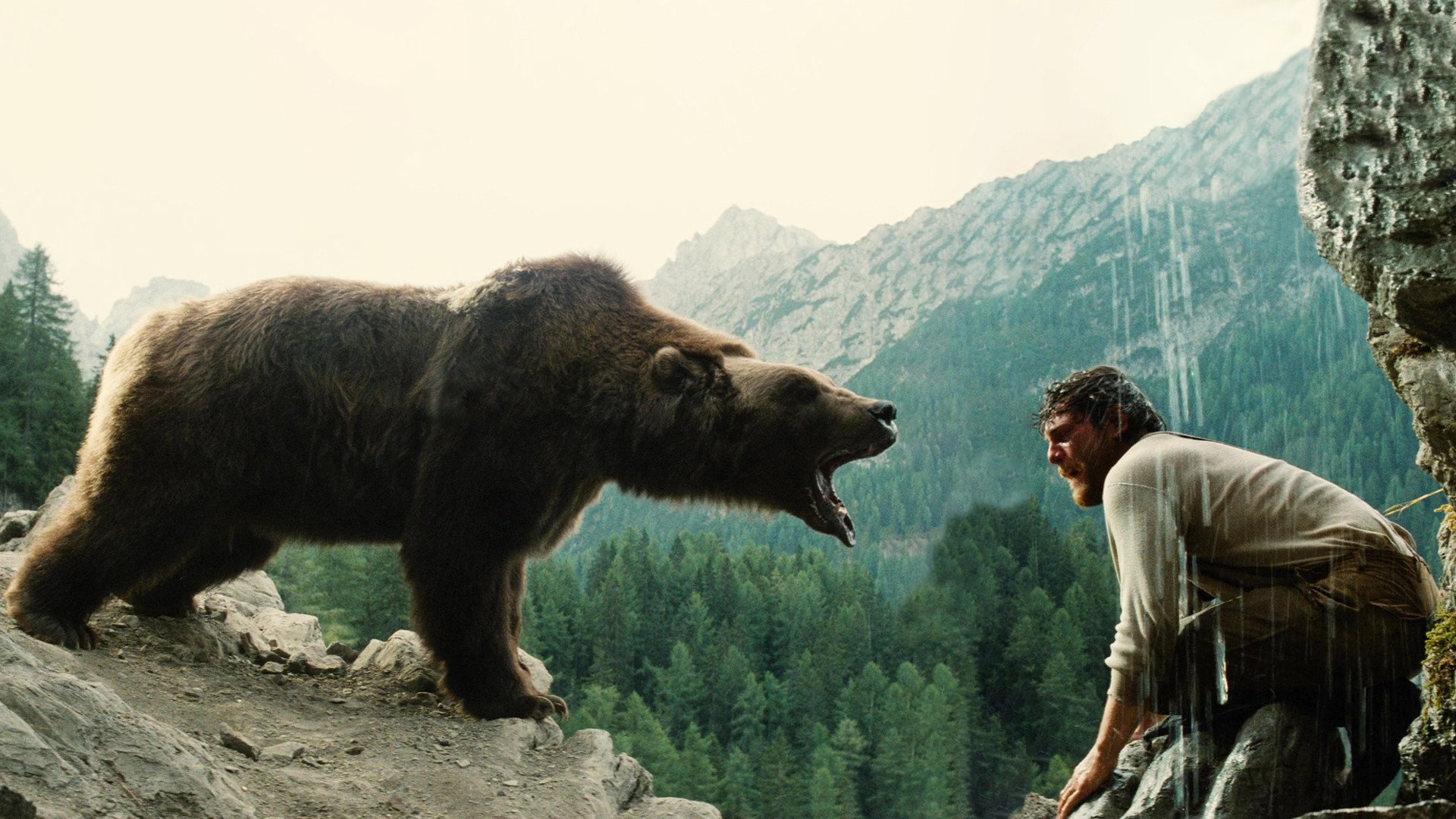The Bear's poster