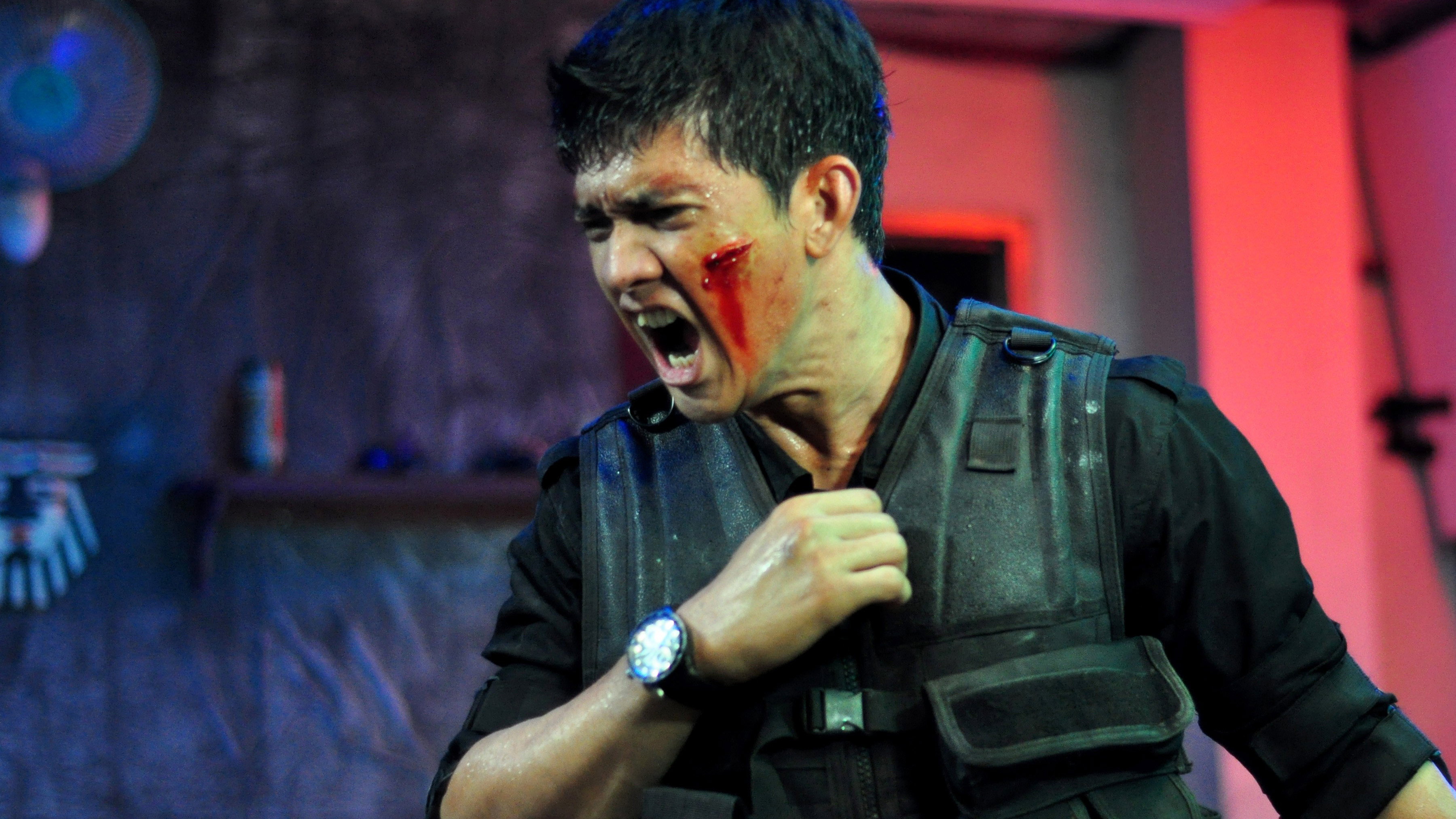 The Raid's poster