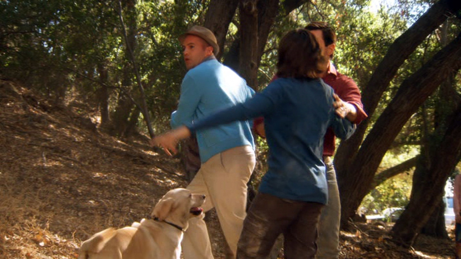 The Gold Retrievers's poster