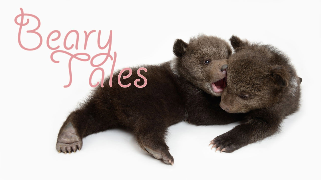 Beary Tales's poster