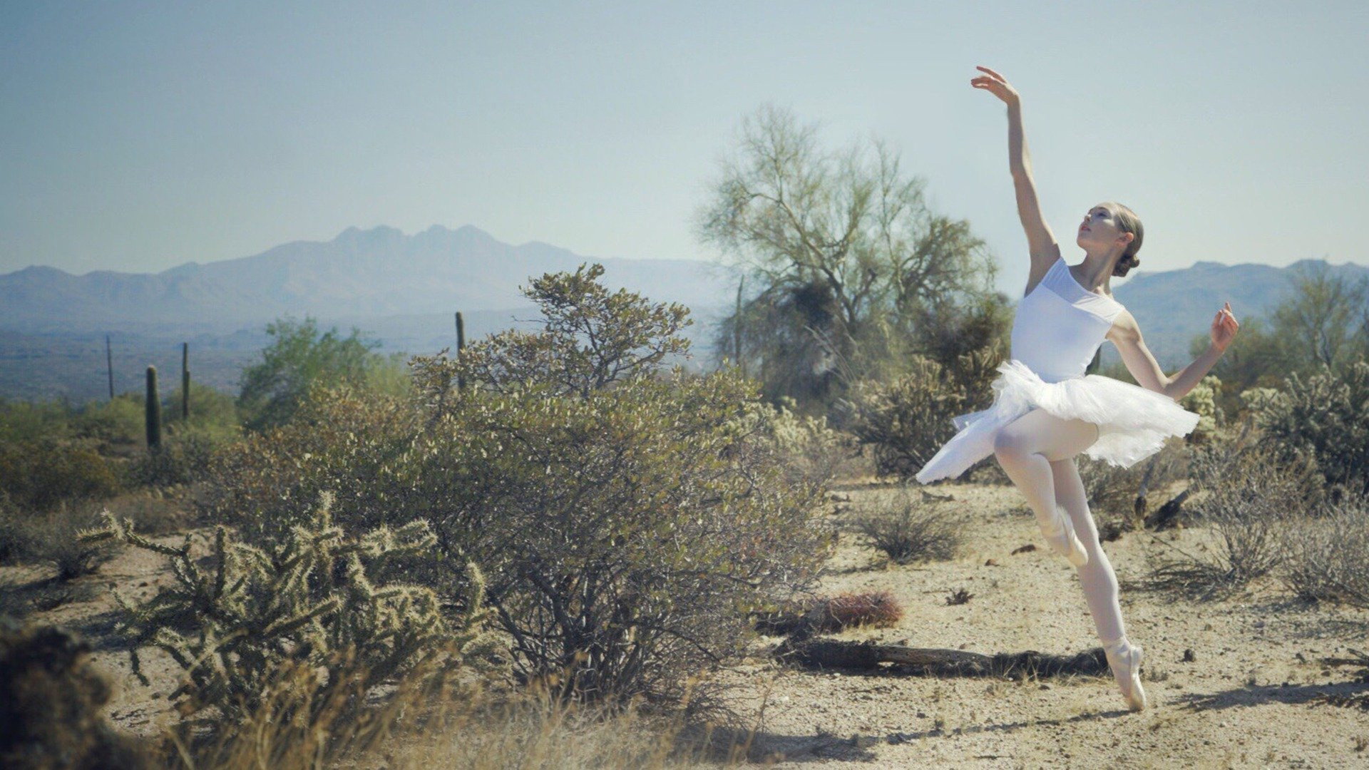 Driven to Dance's poster
