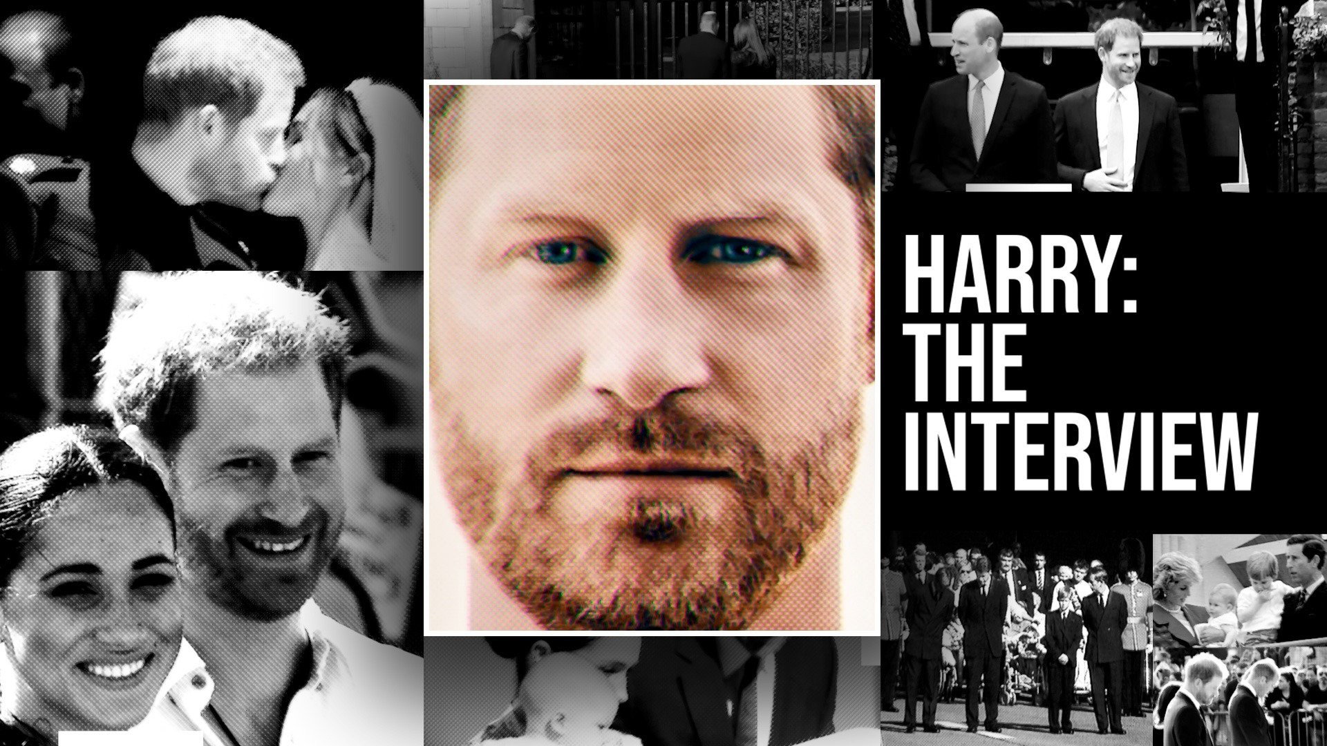 Harry: The Interview's poster