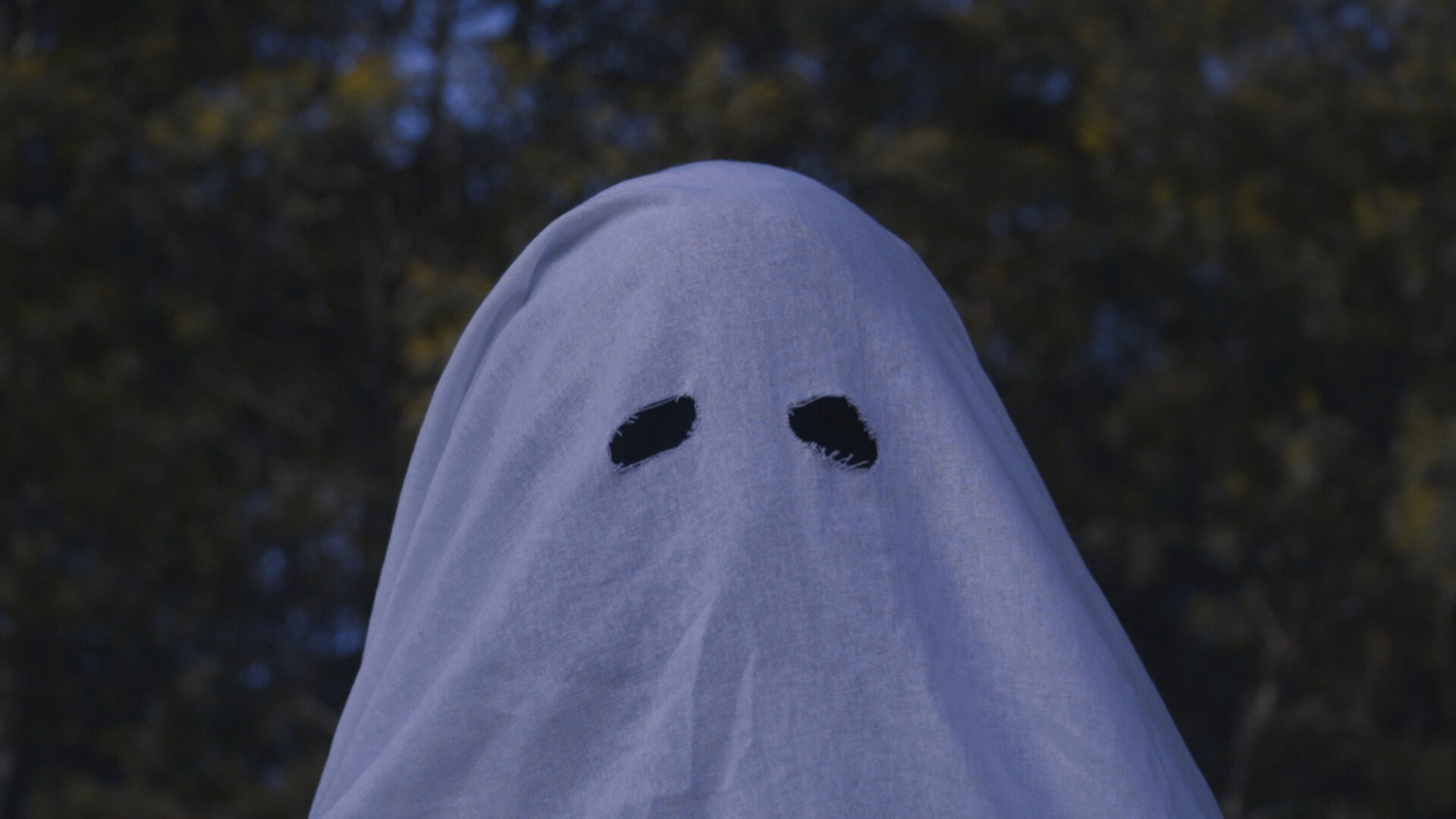 Haunting's poster
