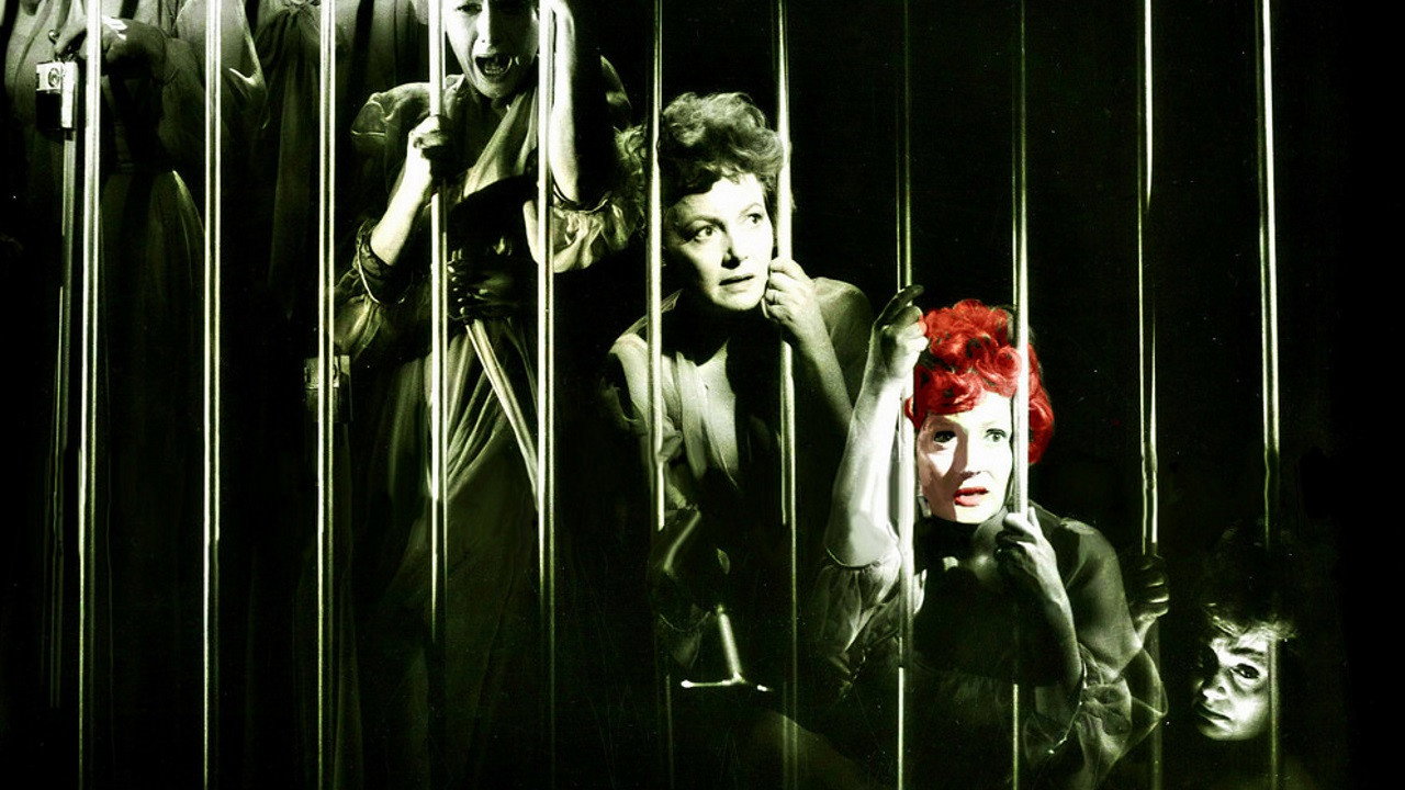 Lady in a Cage's poster