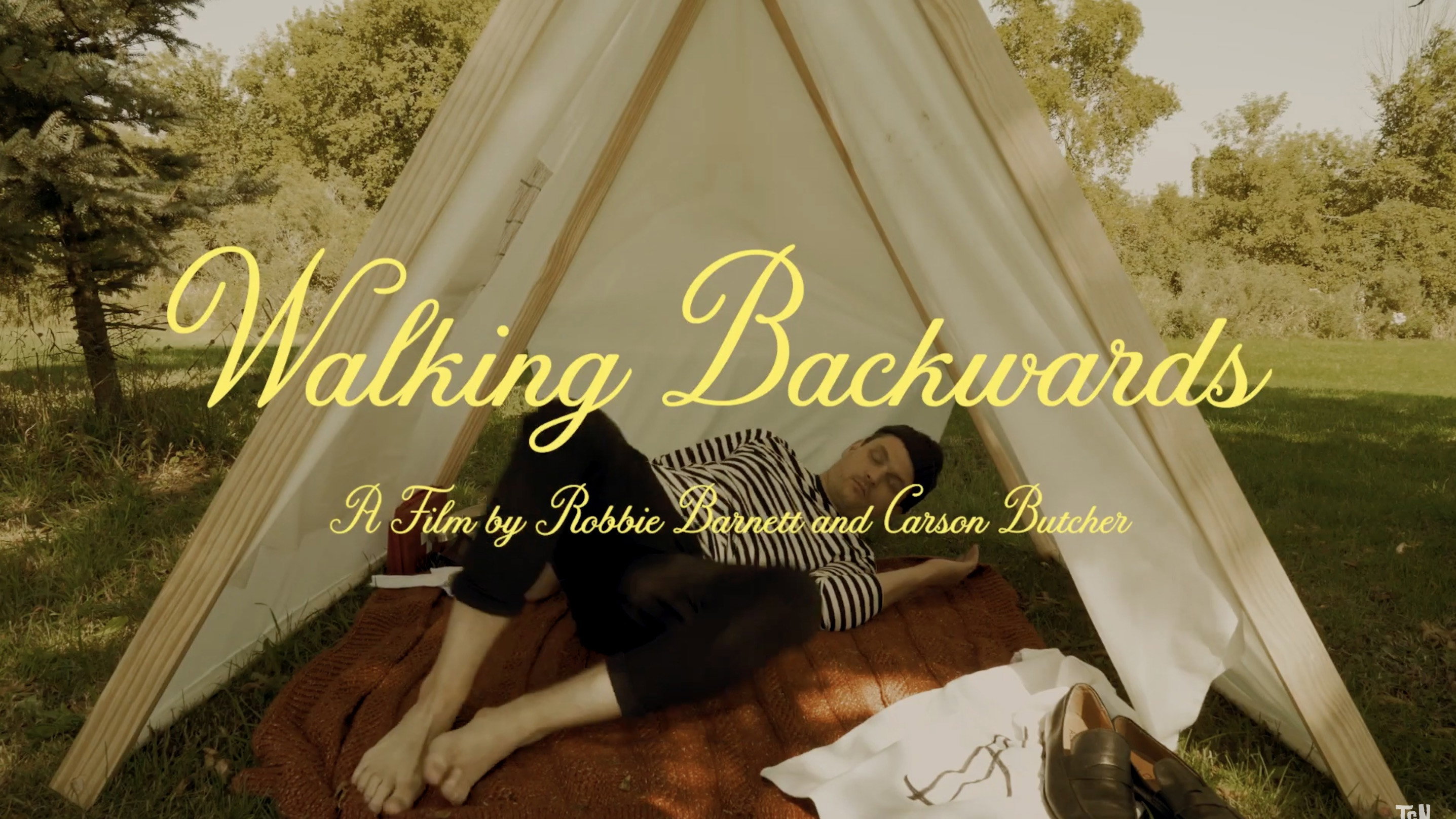 Walking Backwards's poster
