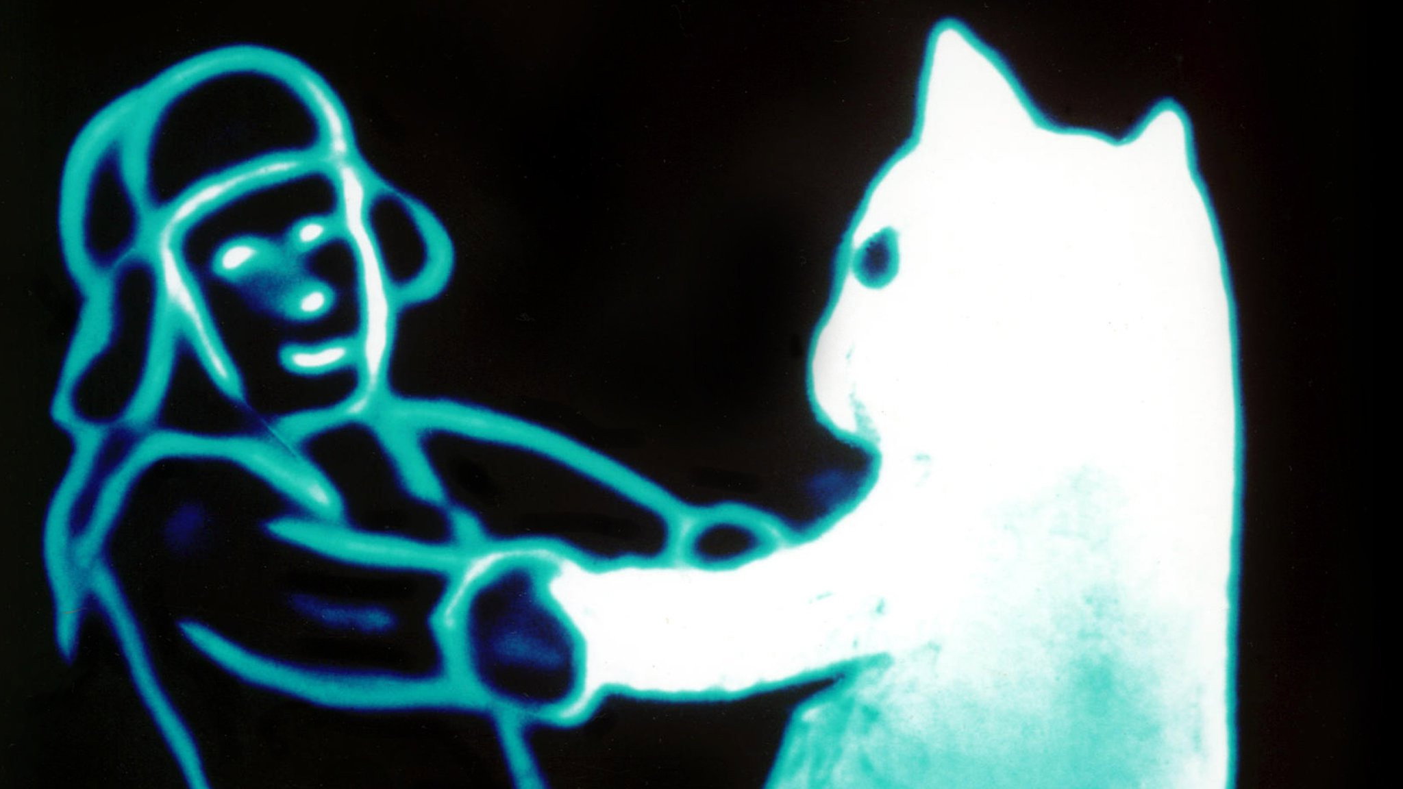 Snow Cat's poster