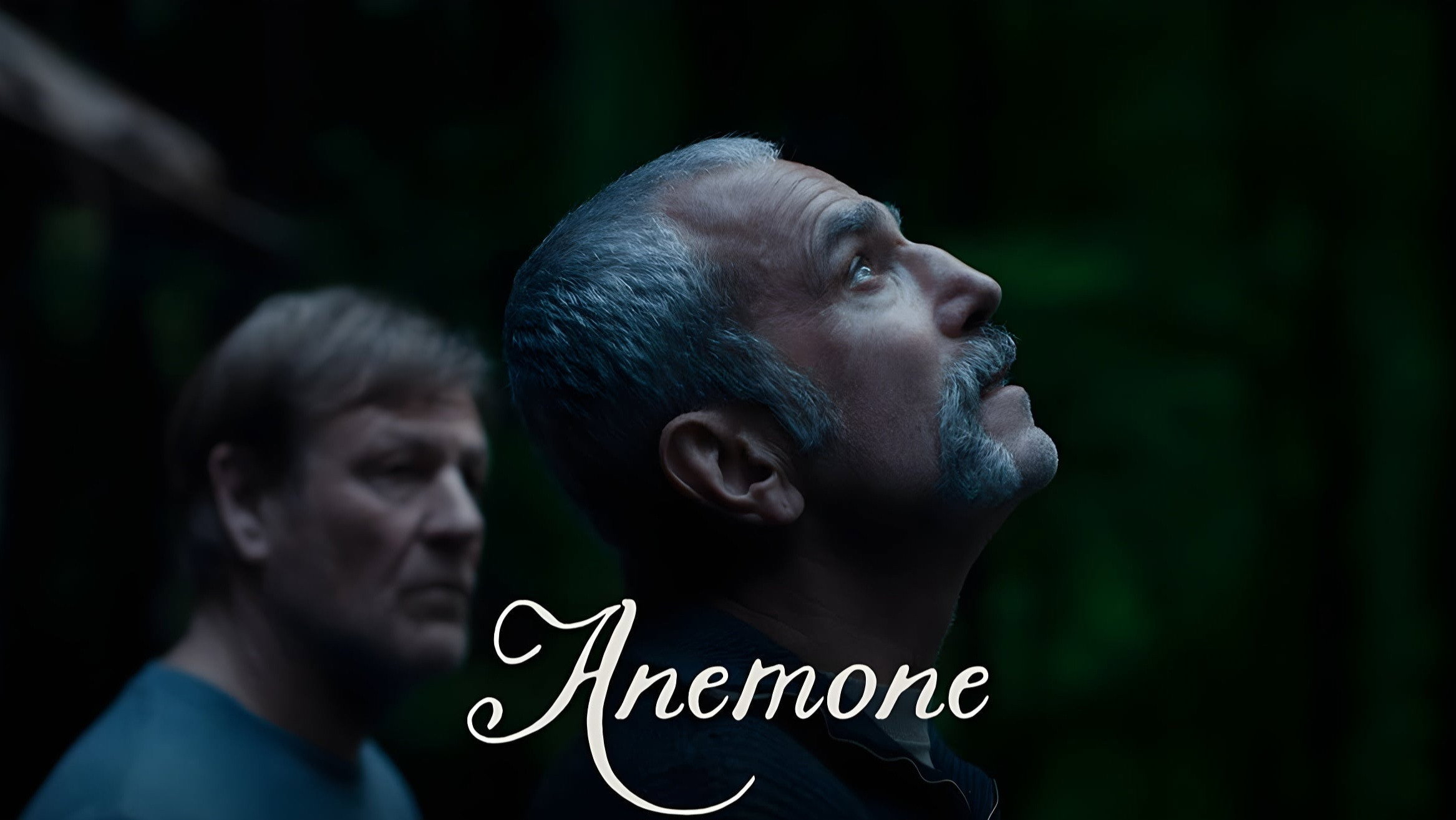 Anemone's poster