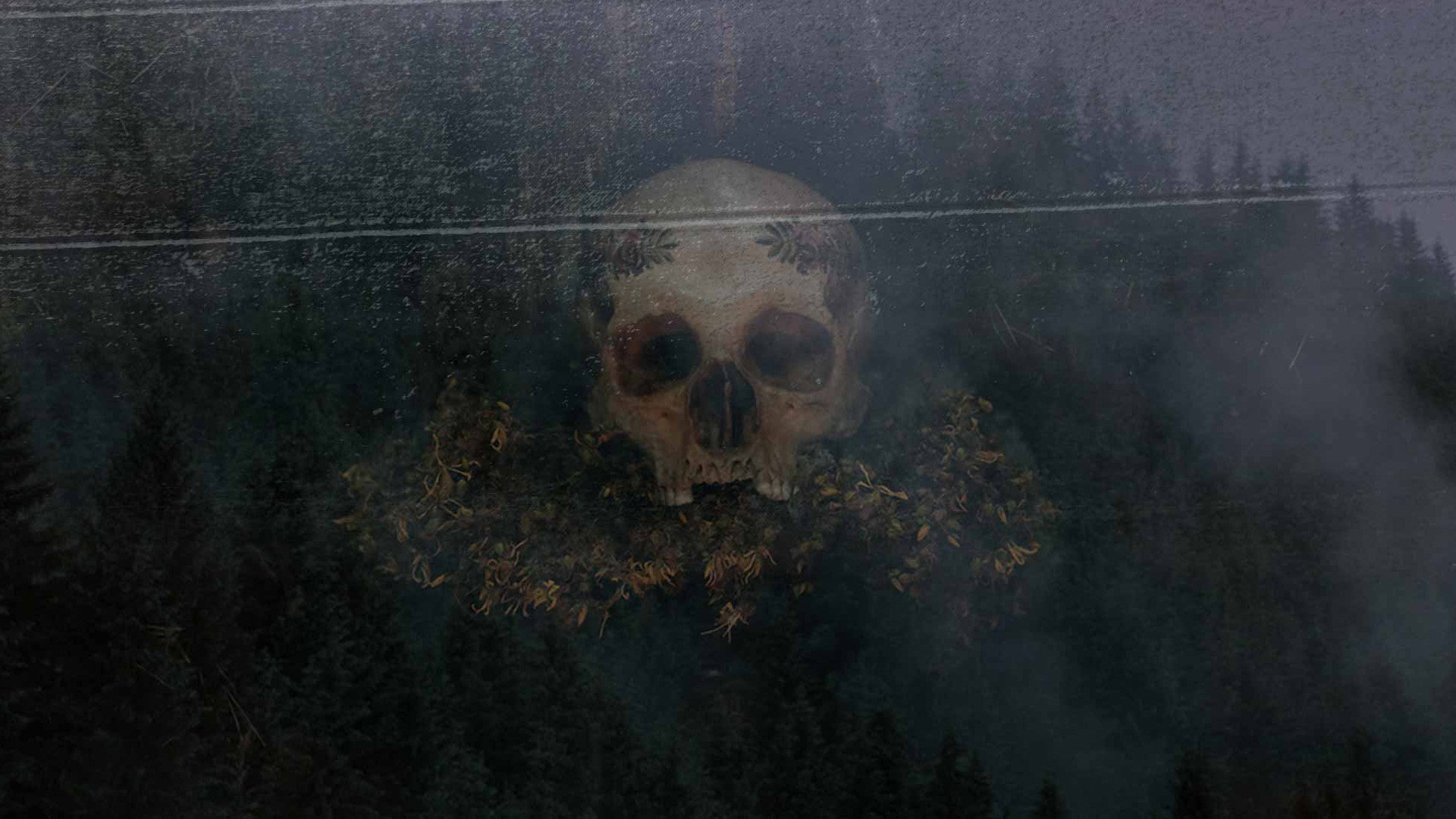 Hagazussa's poster
