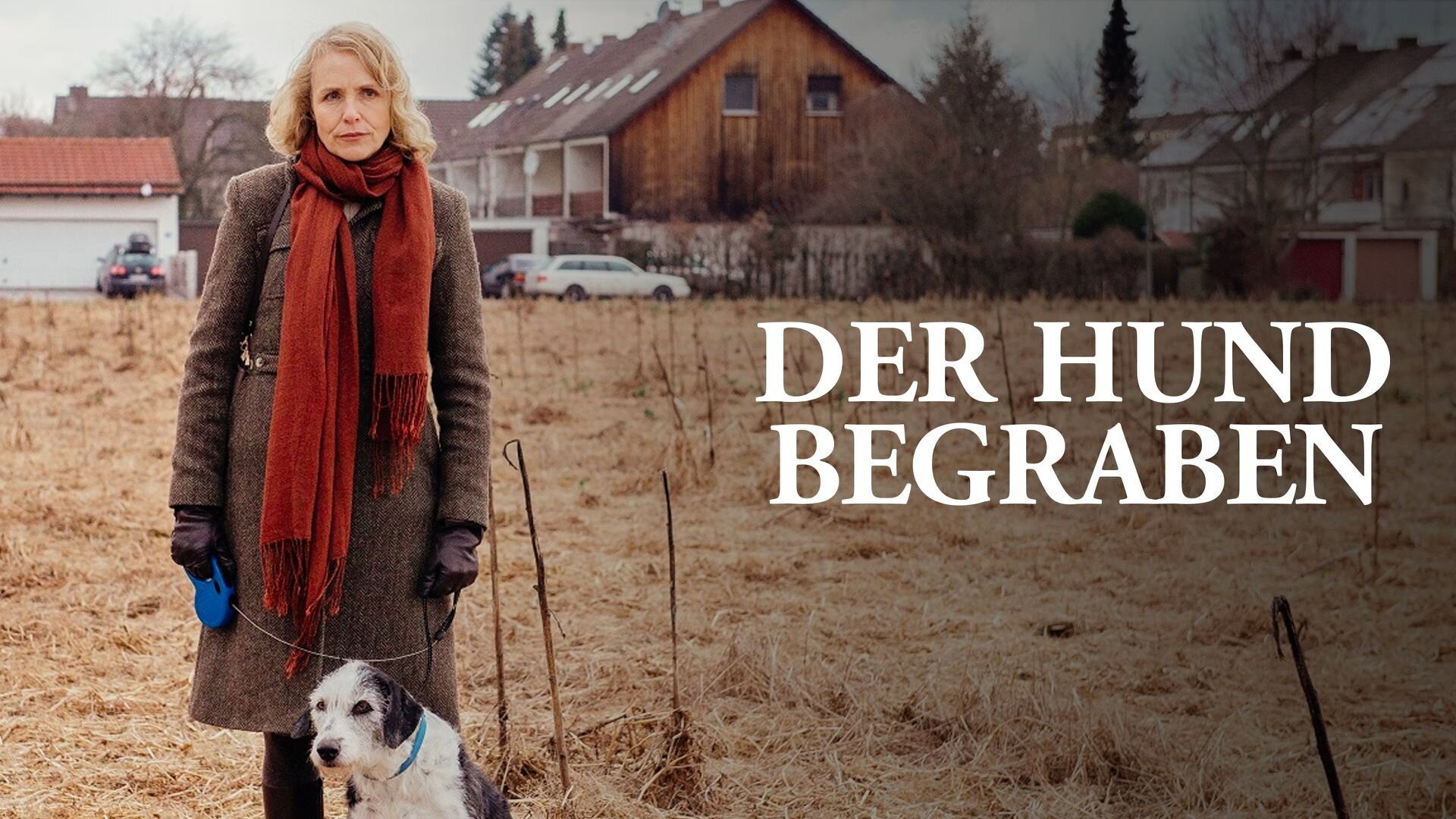 Der Hund begraben's poster