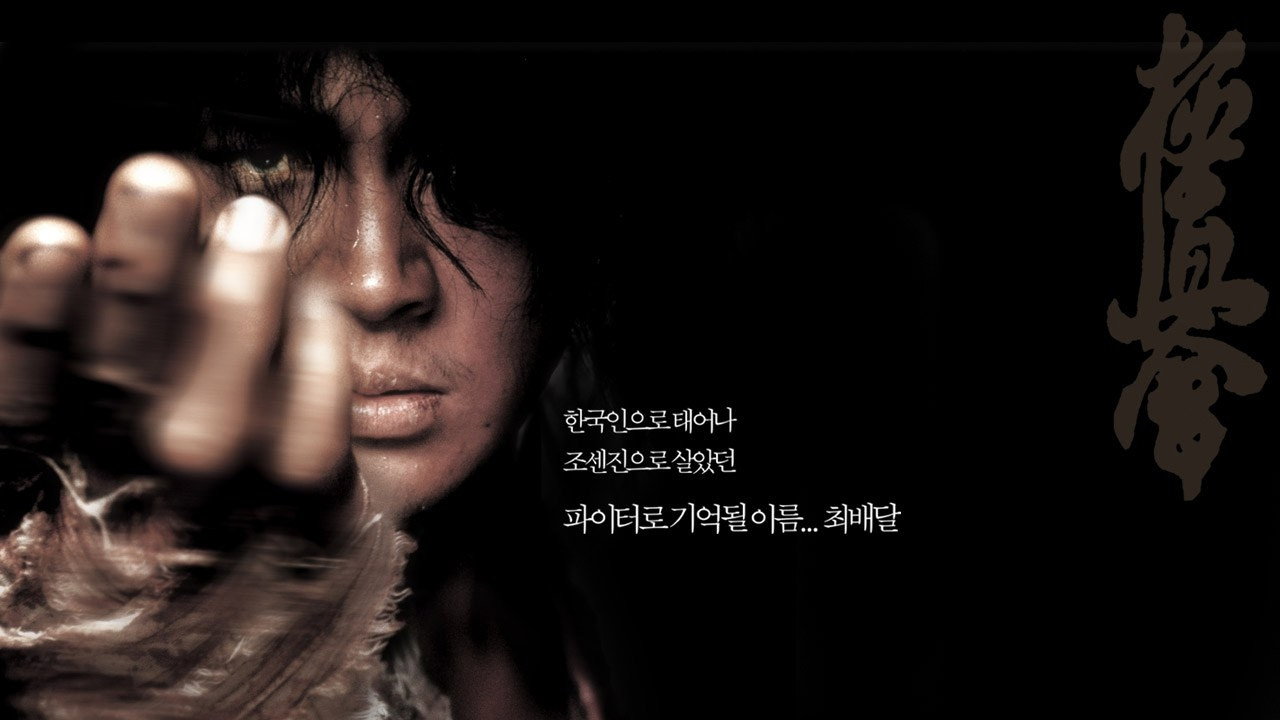 Fighter in the Wind's poster