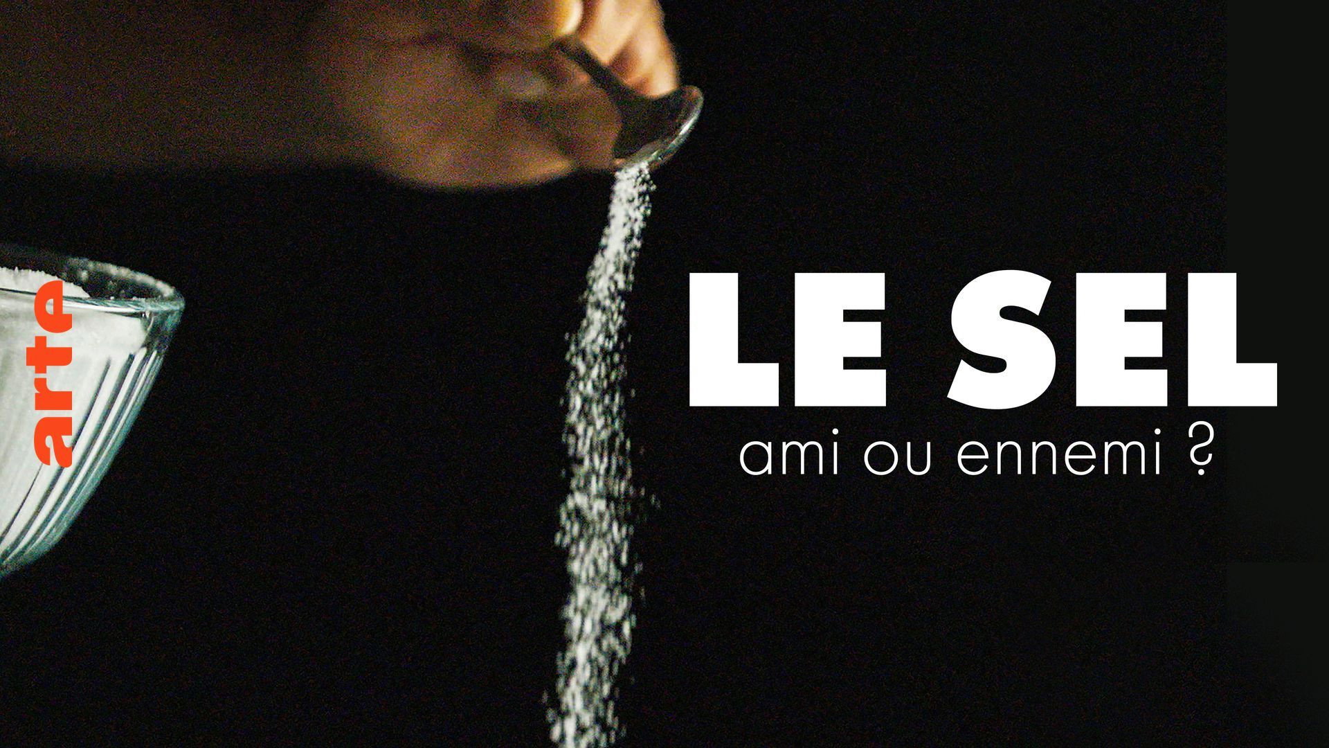 Pass the Salt's poster
