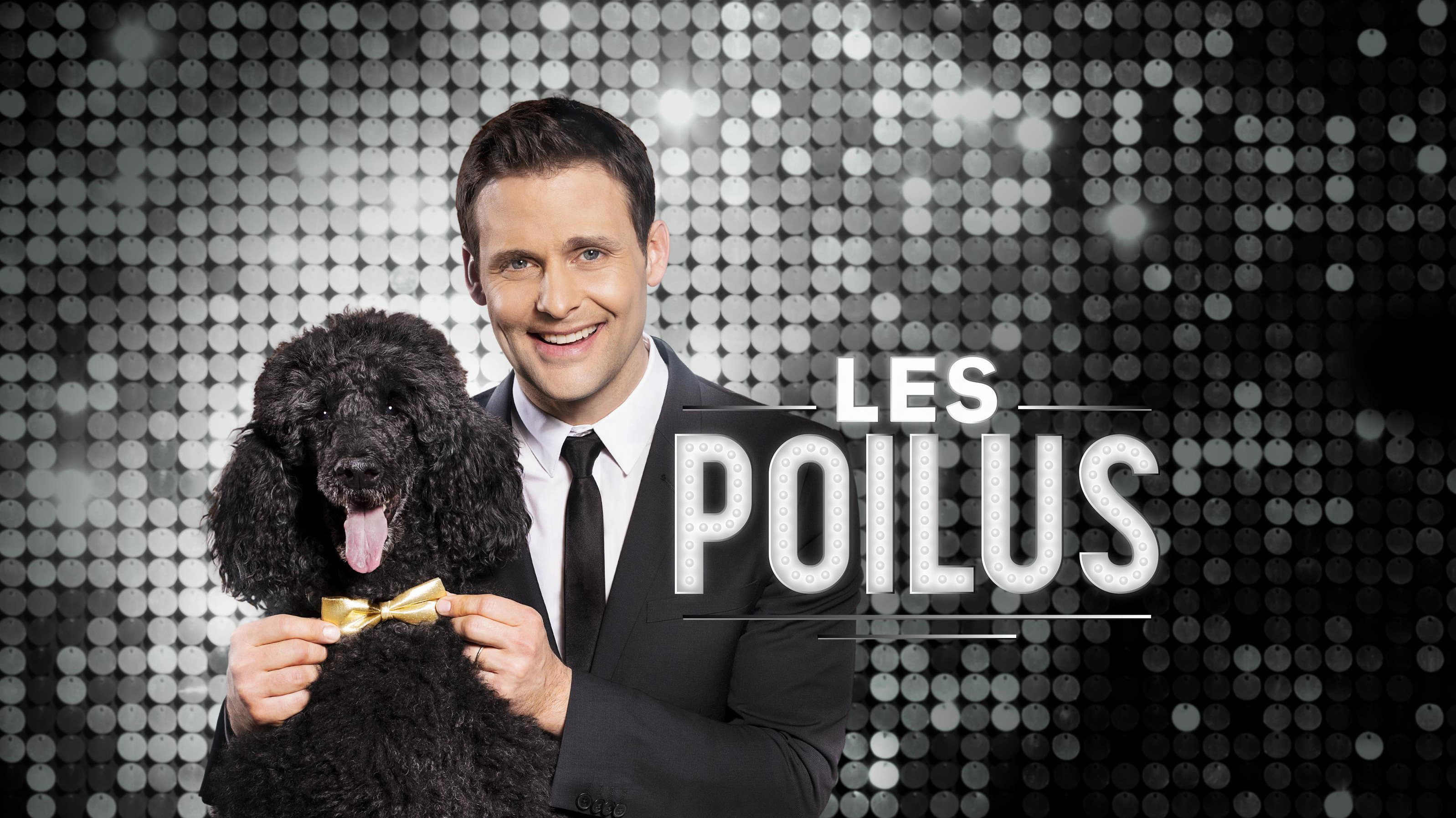 Les poilus's poster