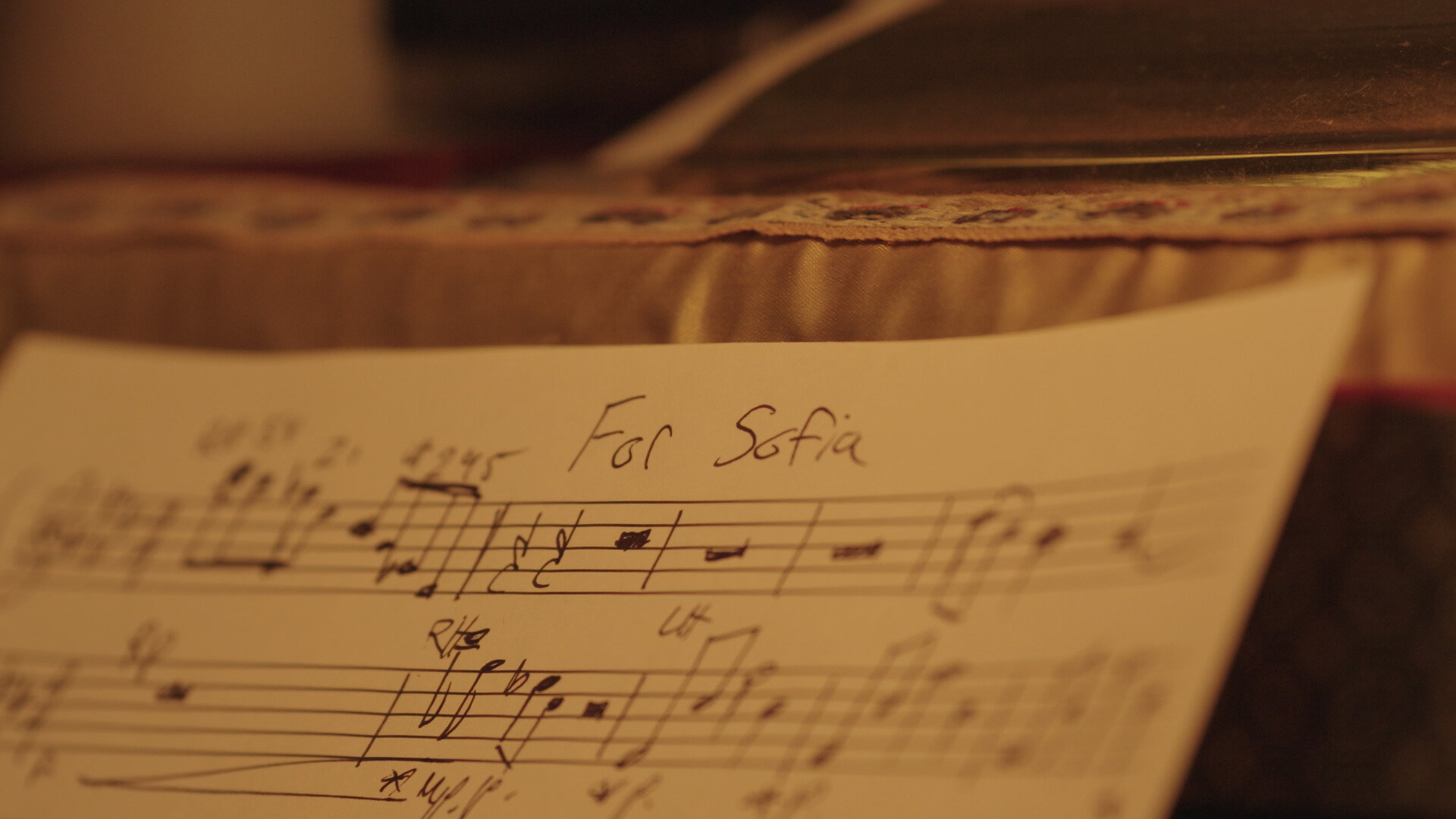 For Sofia's poster