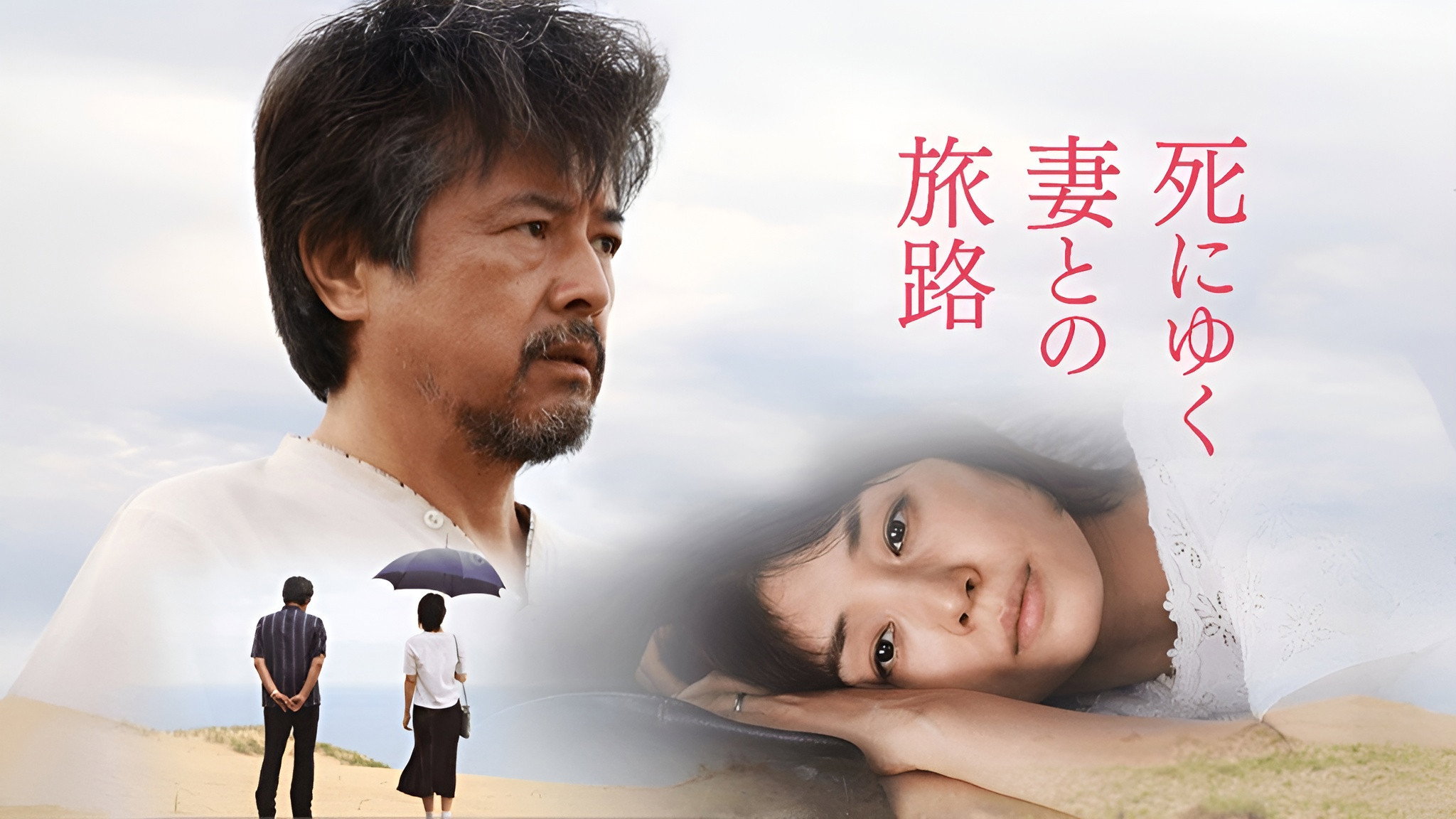 Journey of a Dying Wife's poster