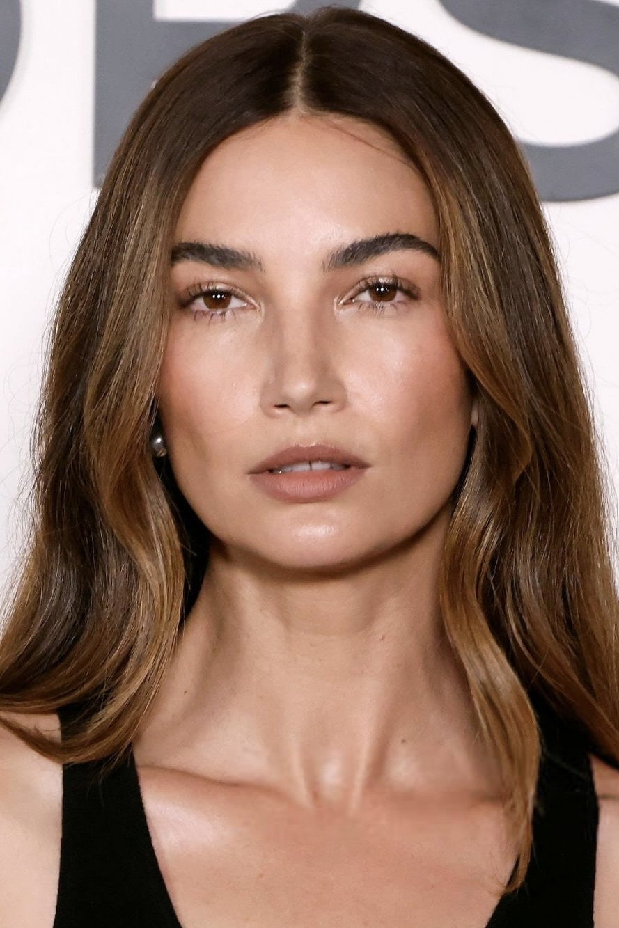 Lily Aldridge's poster
