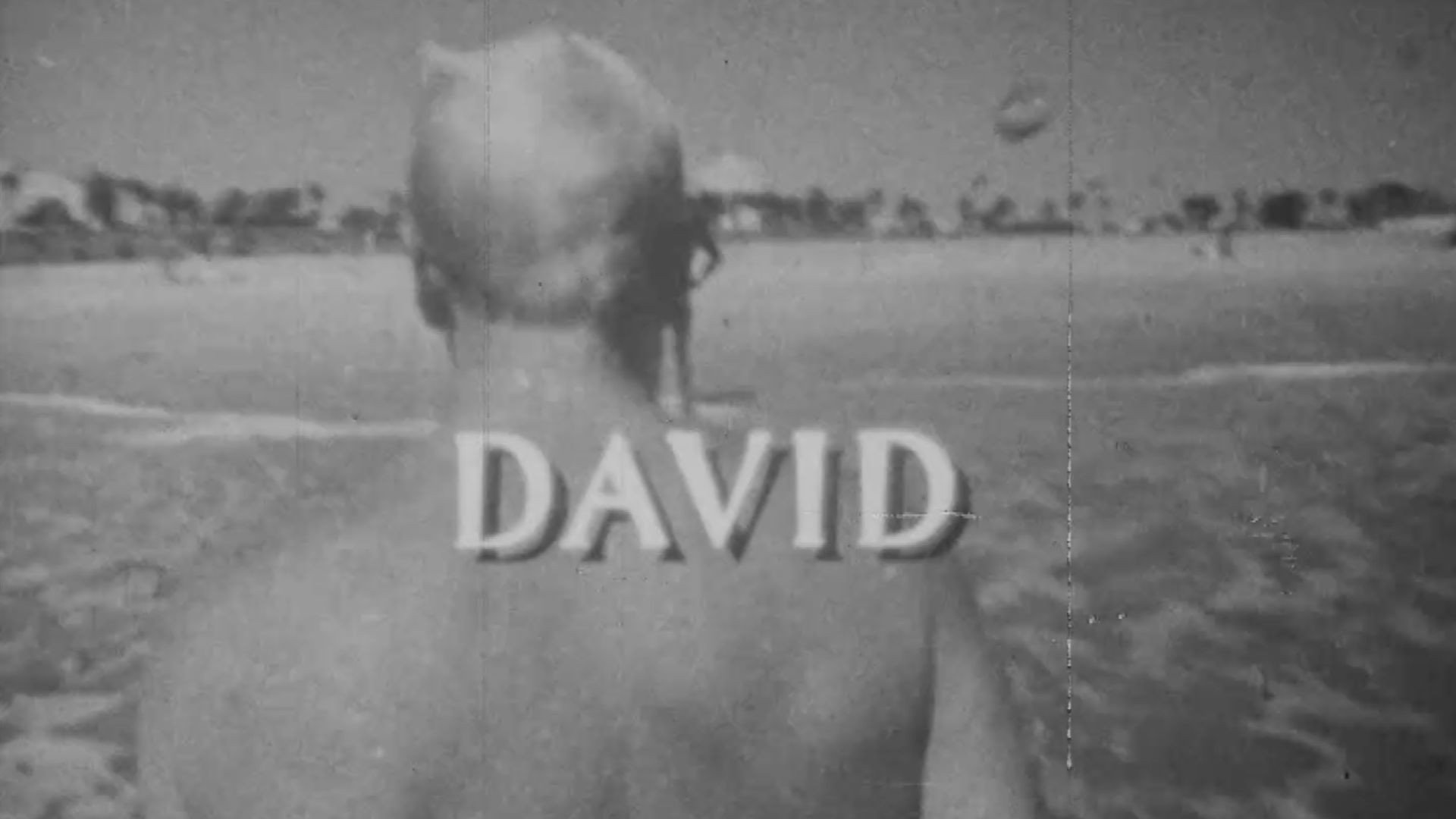 David's poster