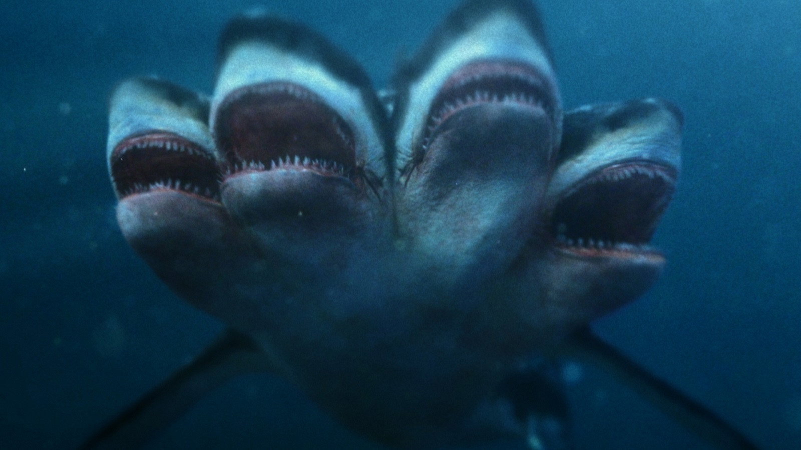 5-Headed Shark Attack's poster