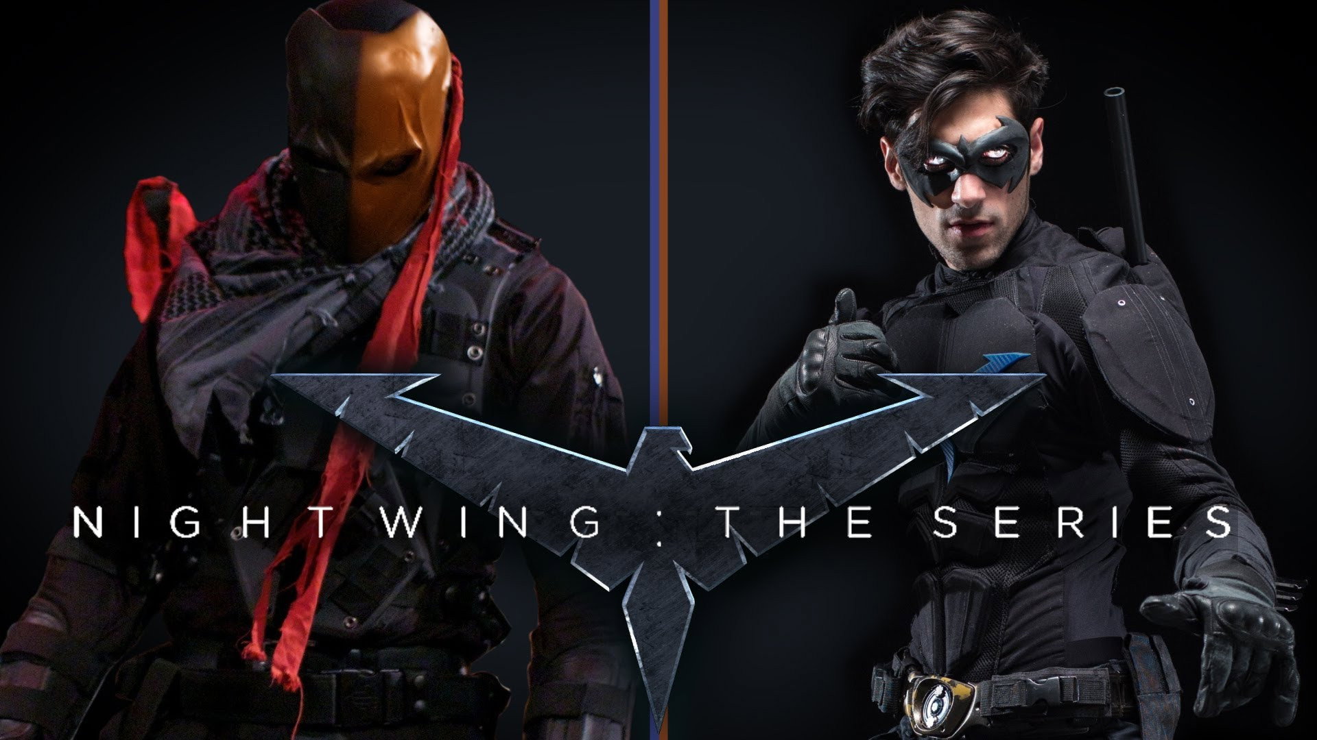 Nightwing: The Series's poster