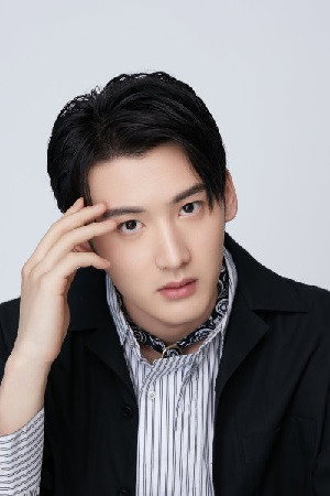 Chen Pengwanli's poster
