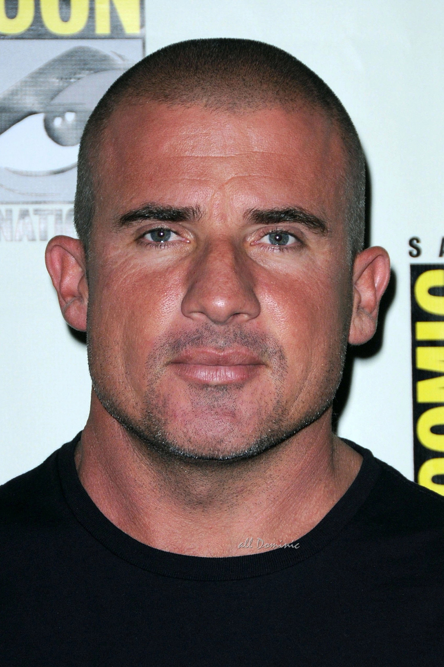 Dominic Purcell's poster