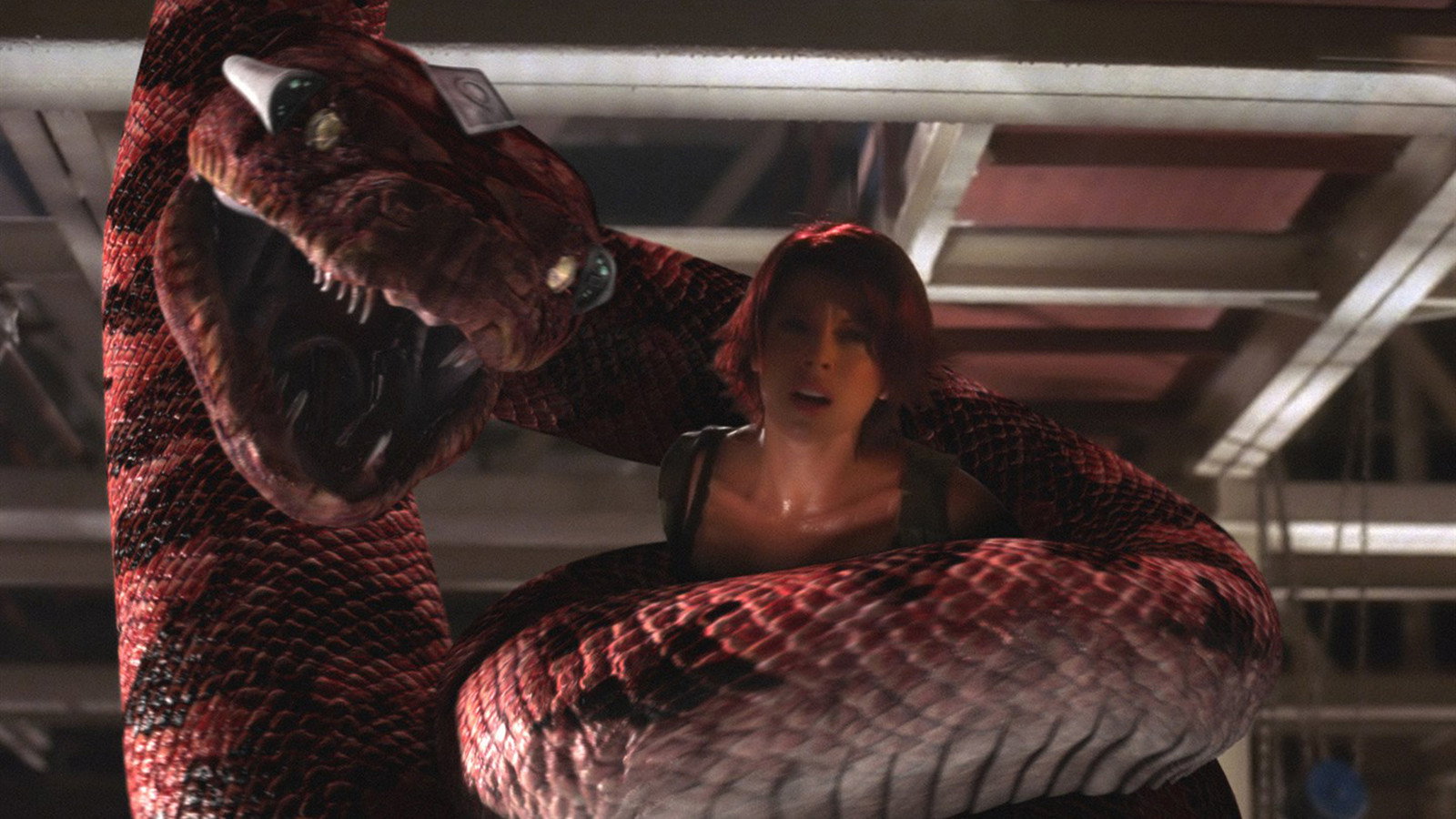 Boa vs. Python's poster